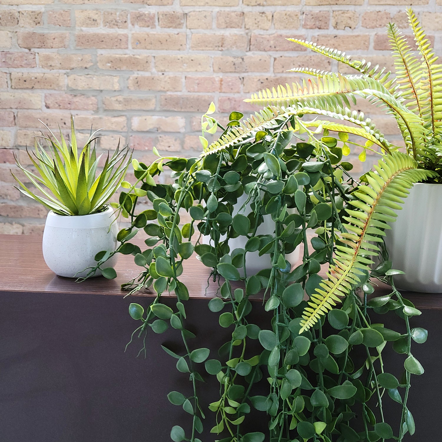 Shelf: Plant, Button Mix, Set/ 3
