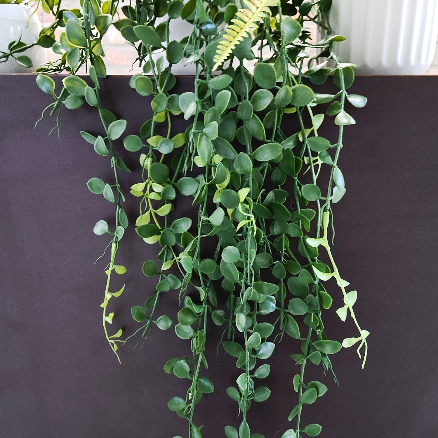 Shelf: Plant, Button Mix, Set/ 3