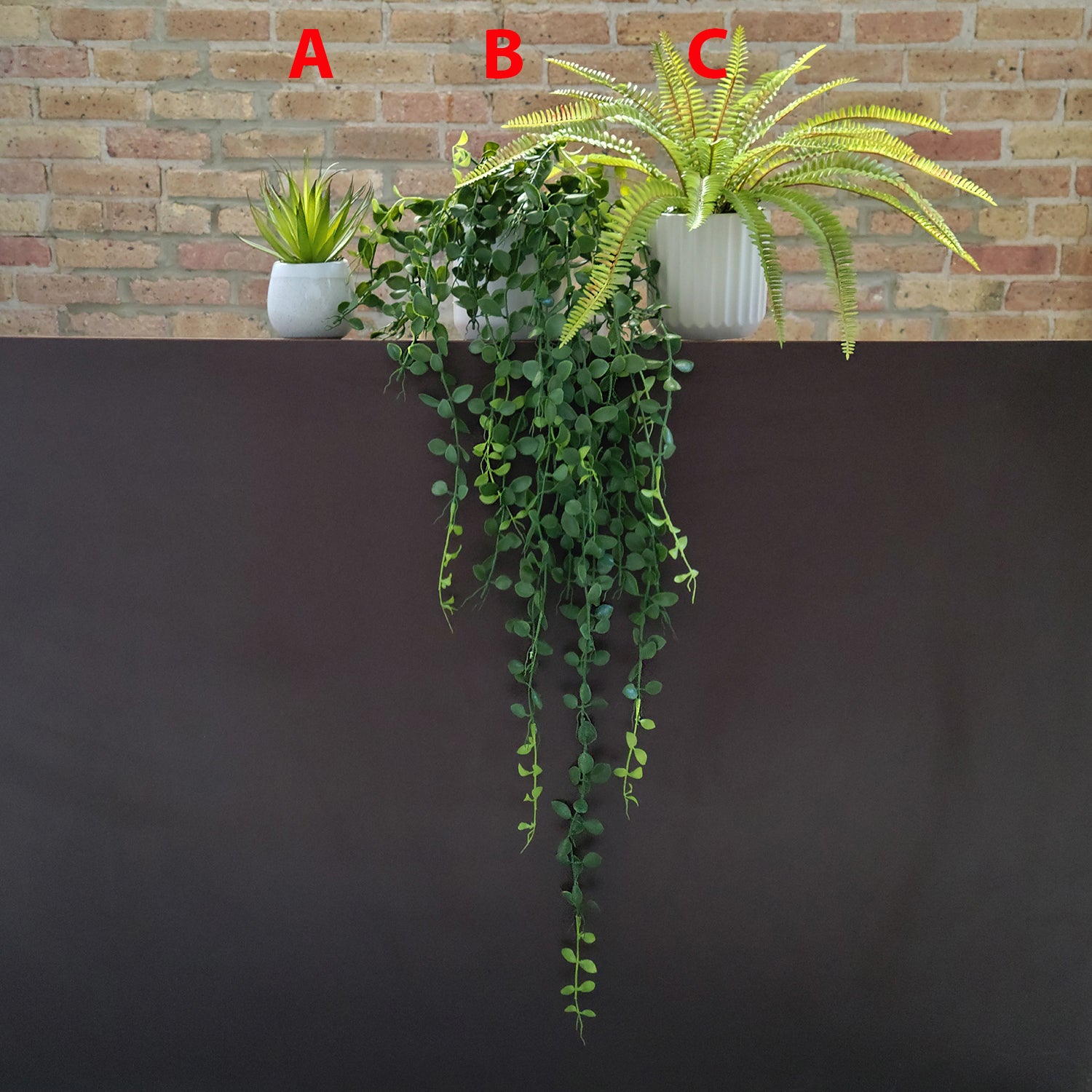 Shelf: Plant, Button Mix, Set/ 3