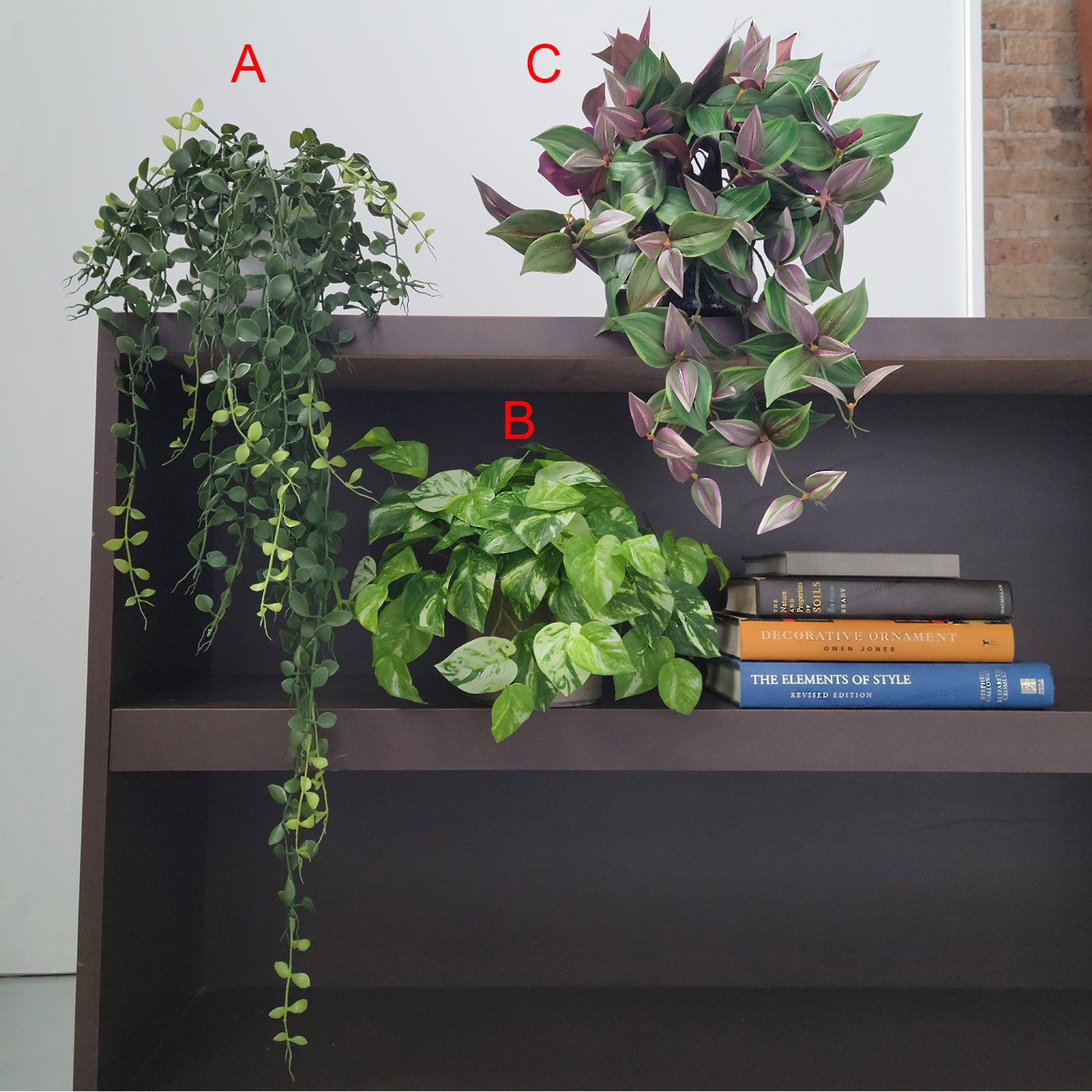Shelf: Plant, Trailing Mix 1, Set3