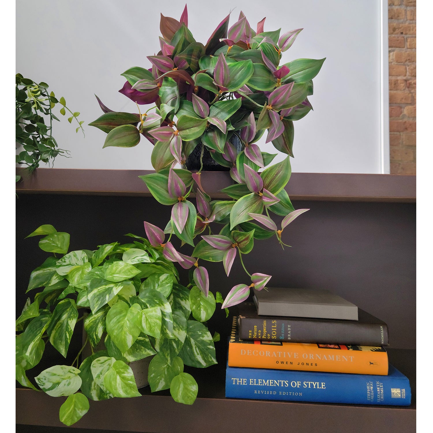 Shelf: Plant, Trailing Mix 1, Set3