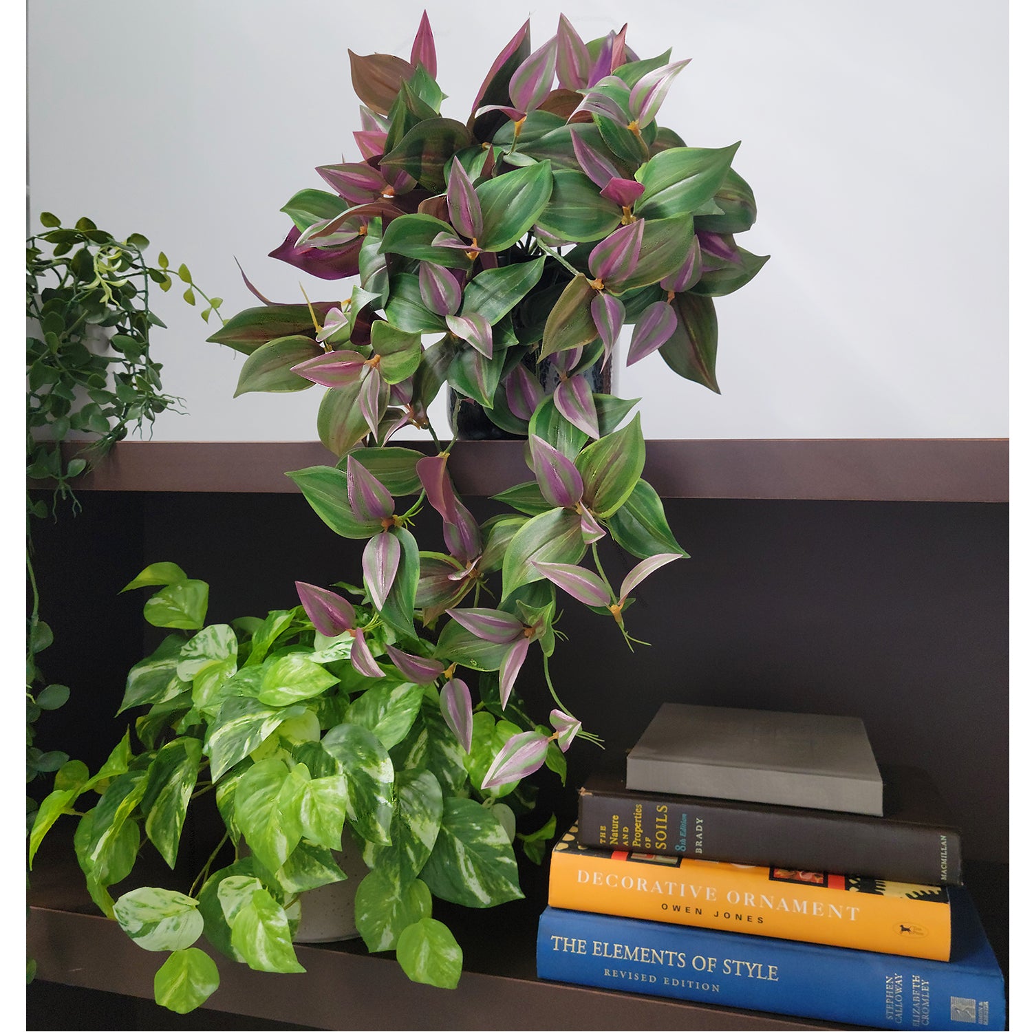 Shelf: Plant, Trailing Mix 1, Set3