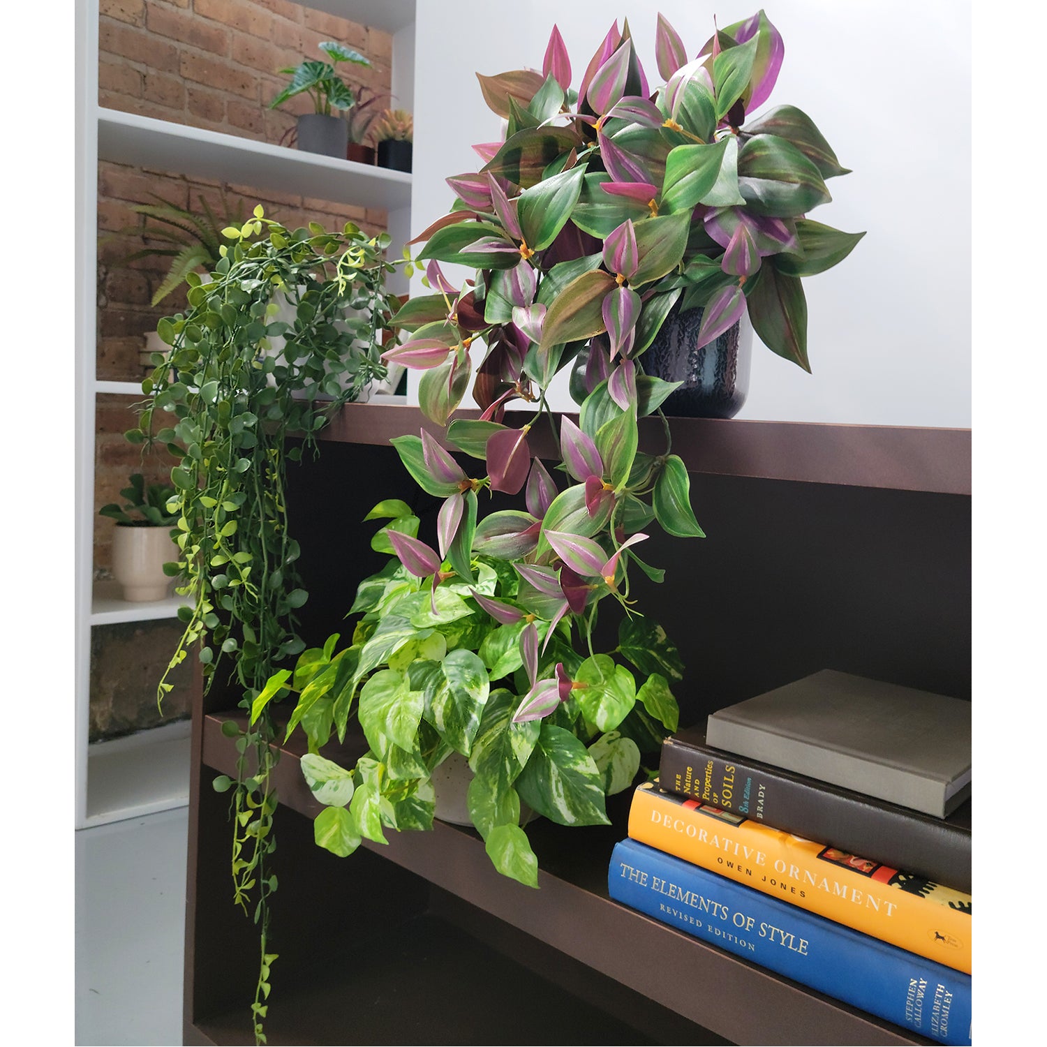 Shelf: Plant, Trailing Mix 1, Set3
