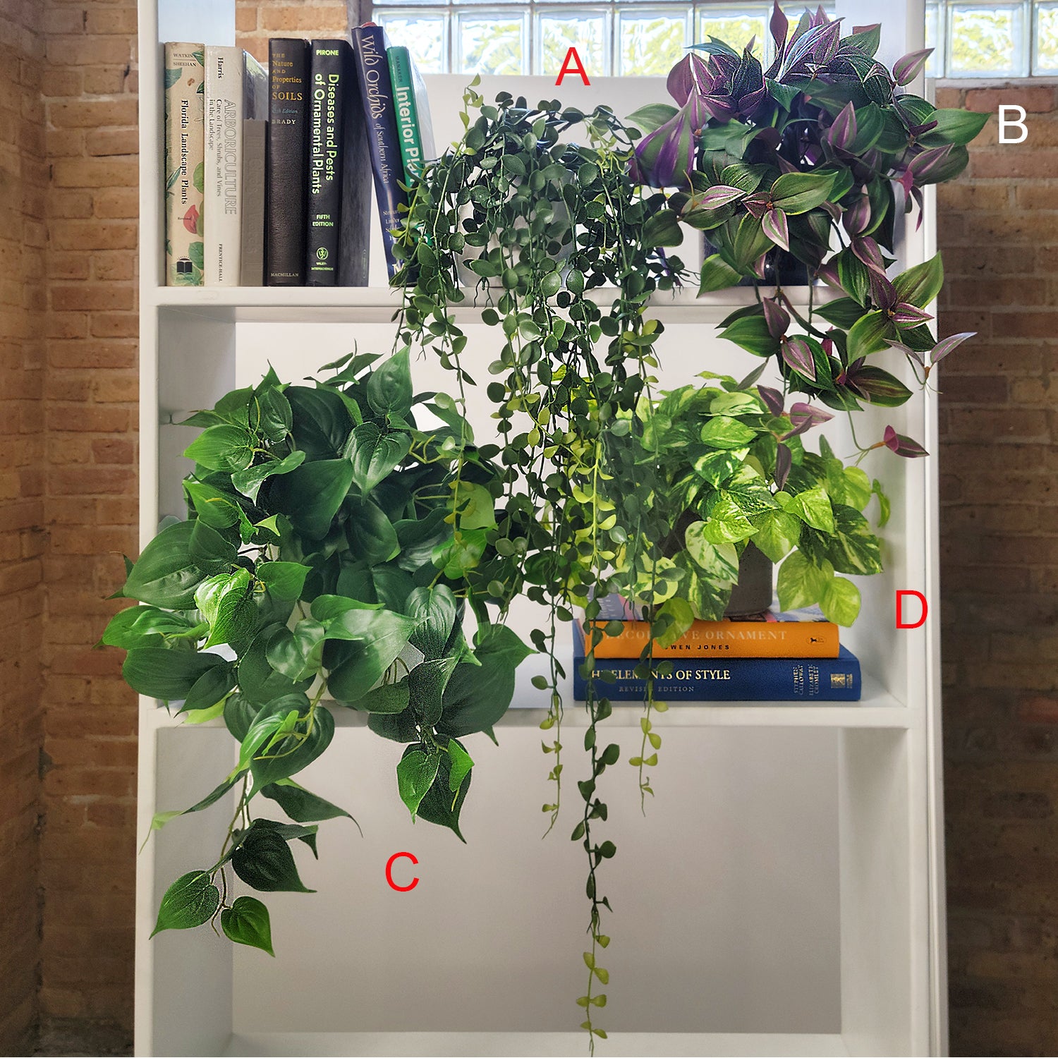 Shelf: Plant, Trailing Mix 2, Set/ 4