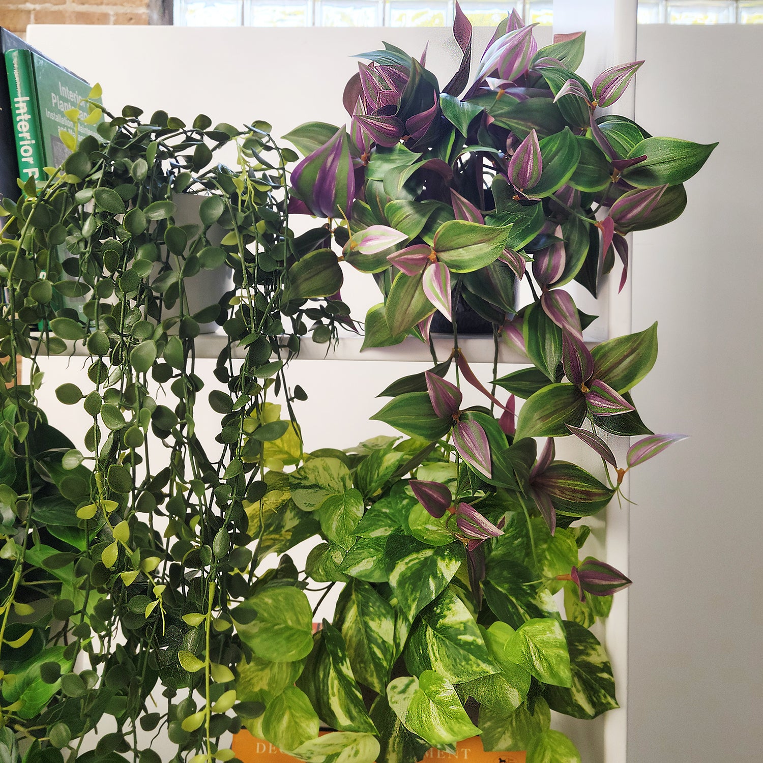 Shelf: Plant, Trailing Mix 2, Set/ 4