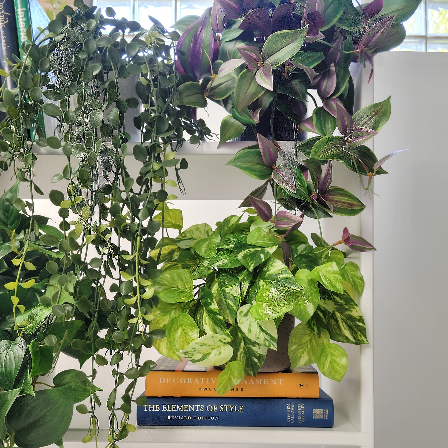 Shelf: Plant, Trailing Mix 2, Set/ 4