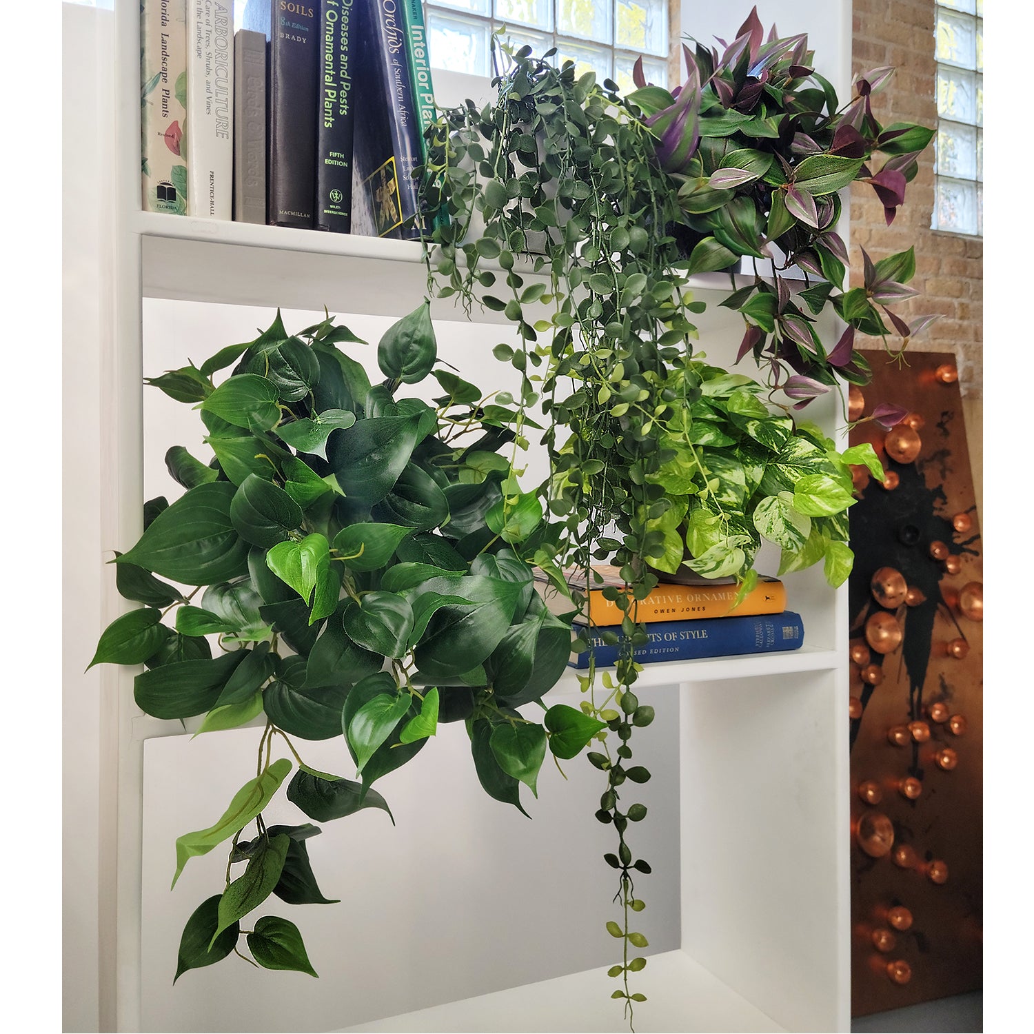 Shelf: Plant, Trailing Mix 2, Set/ 4