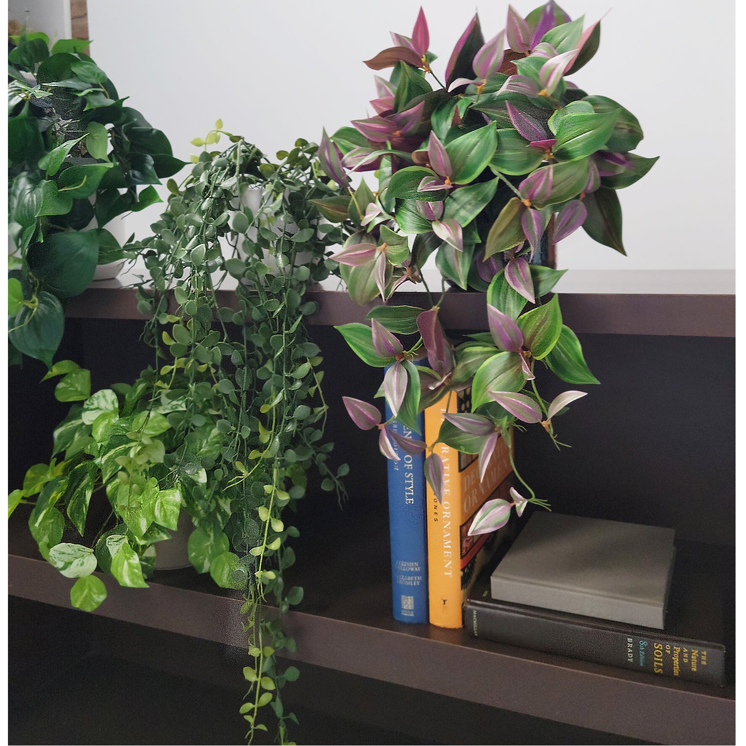 Shelf: Plant, Trailing Mix 2, Set/ 4
