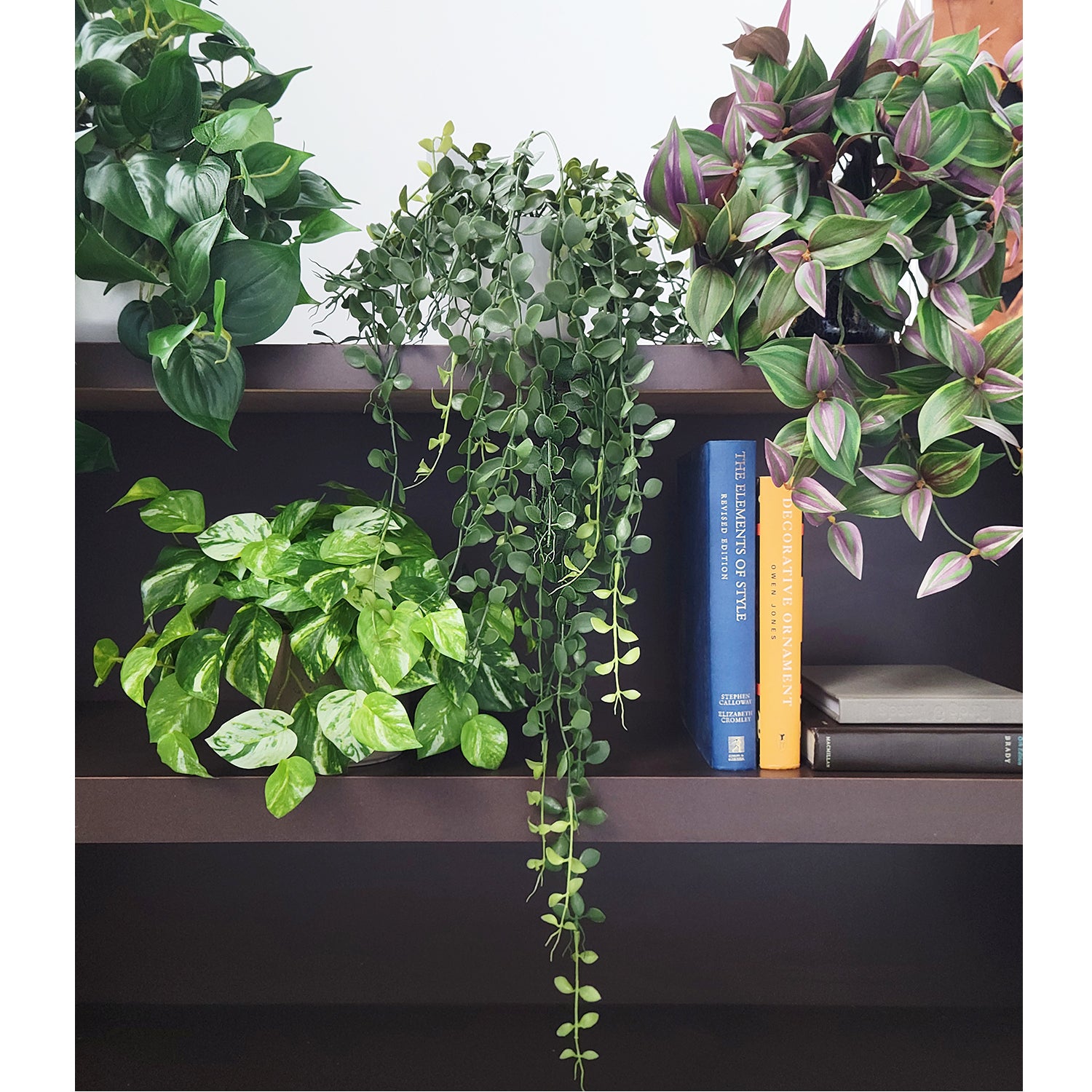 Shelf: Plant, Trailing Mix 2, Set/ 4