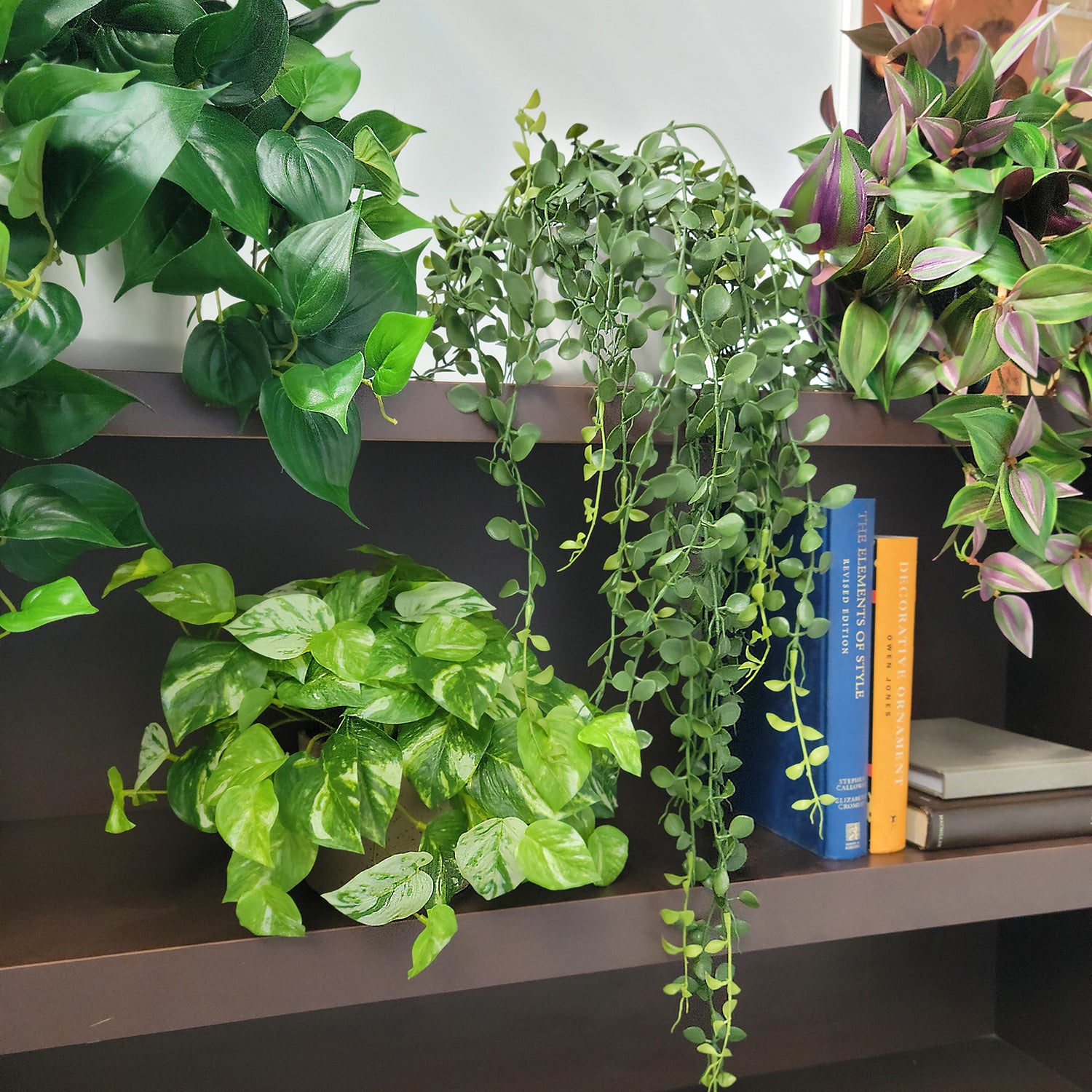 Shelf: Plant, Trailing Mix 2, Set/ 4