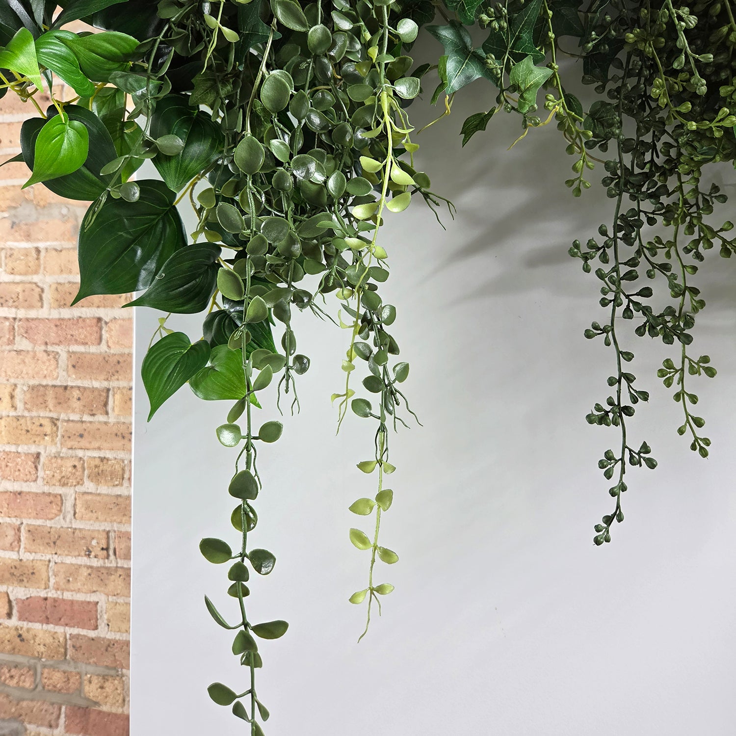 Plant Strip, Mixed 32”L Hanging