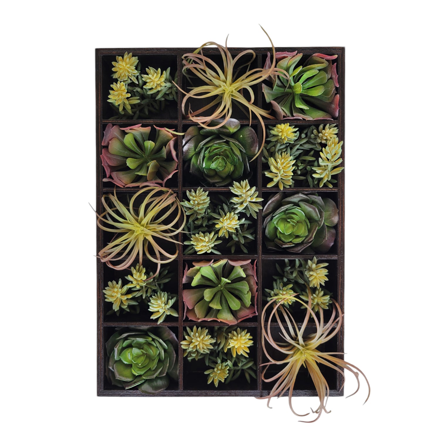 Green Wall, Pixelated Succulent, 15 compartments