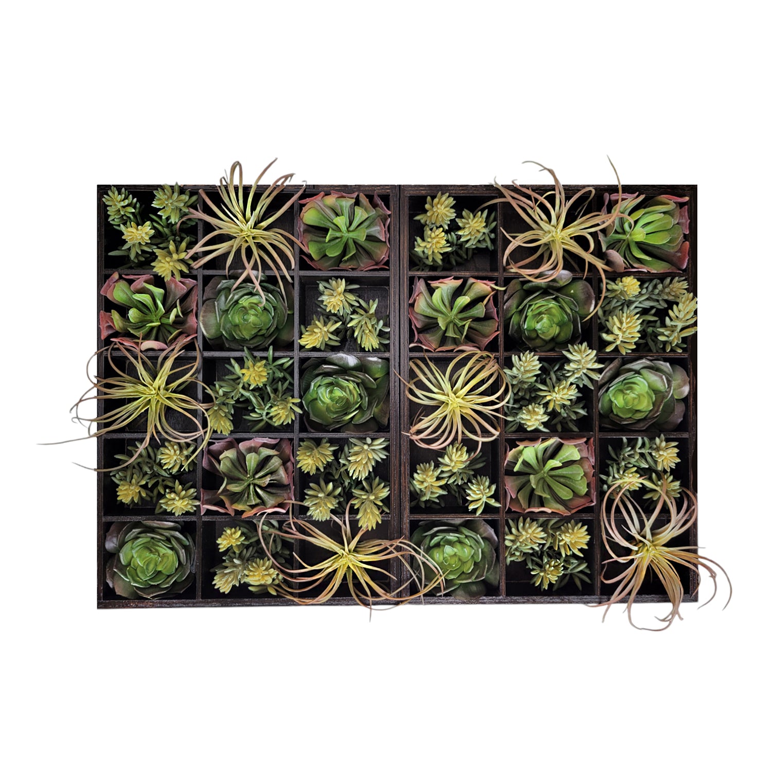 Green Wall, Pixelated Succulent, 15 compartments