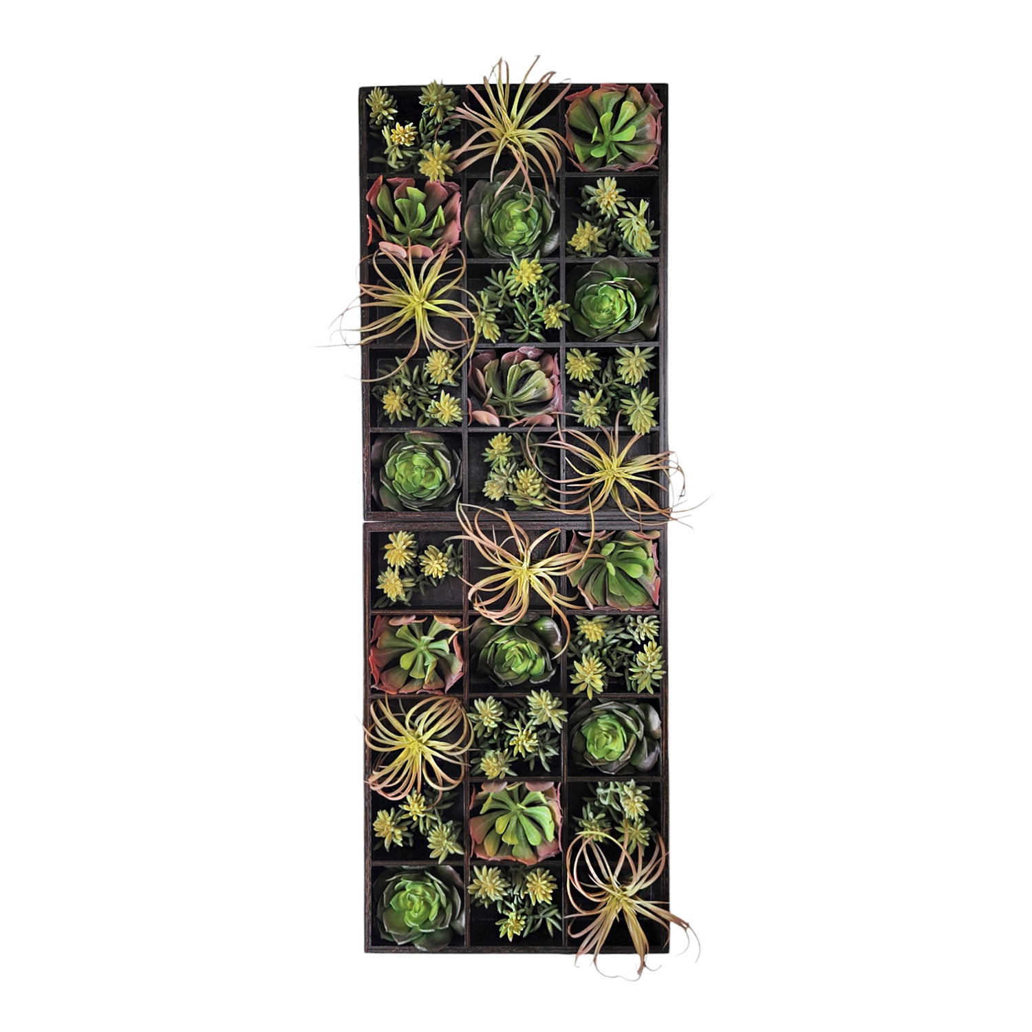 Green Wall, Pixelated Succulent, 15 compartments