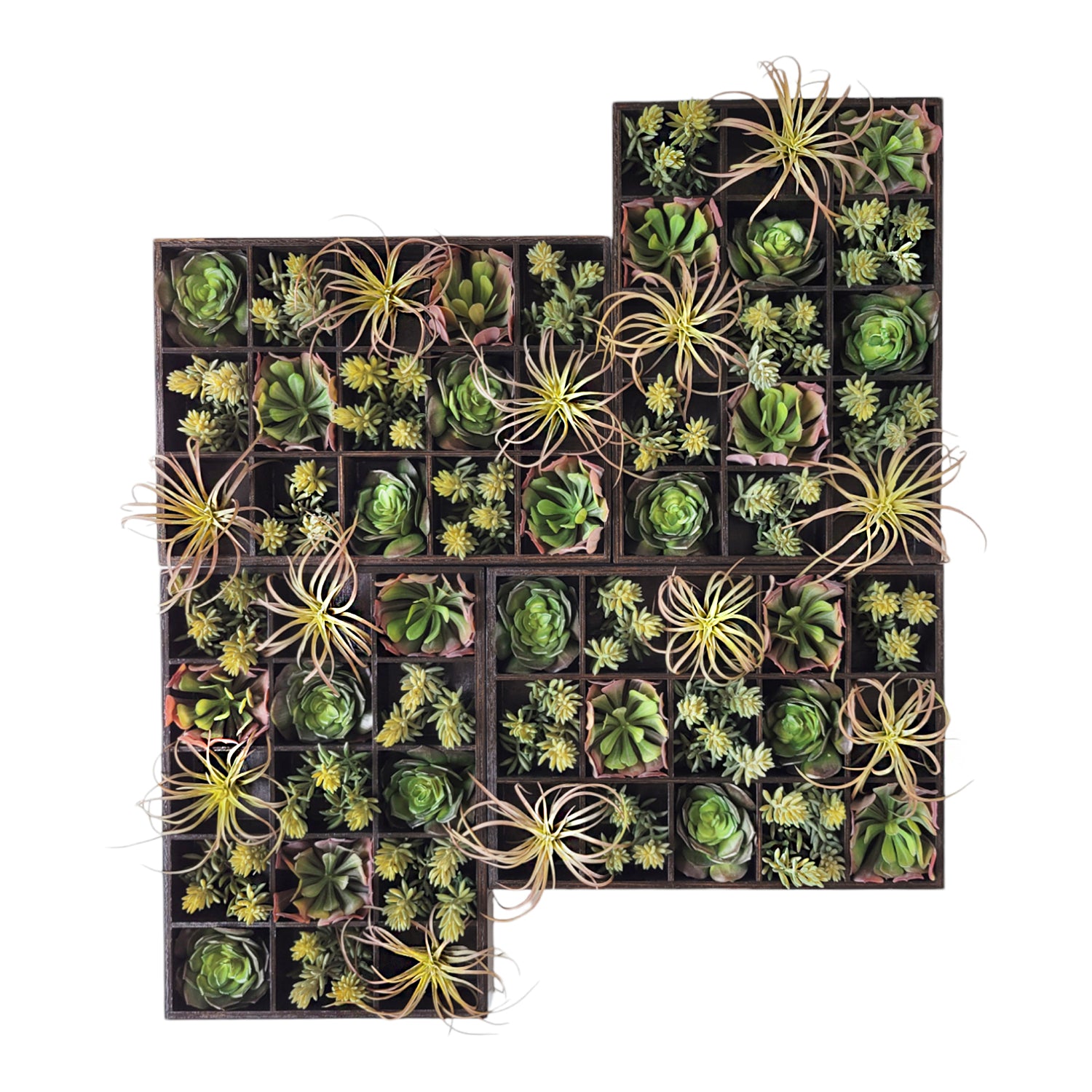 Green Wall, Pixelated Succulent, 15 compartments