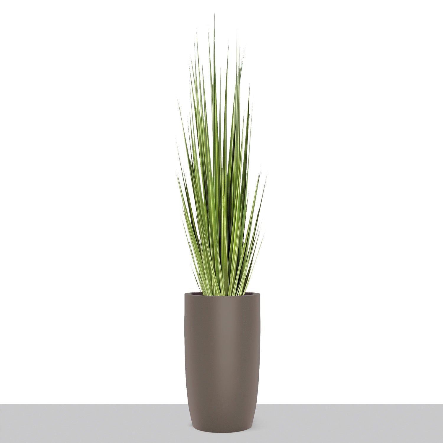 Grass: Century Grass in Barrel Planter SM, Gunmetal Metallic Satin