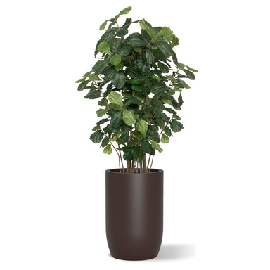 Botanical arrangement with two fiddle trees in a brown satin barrel planter.