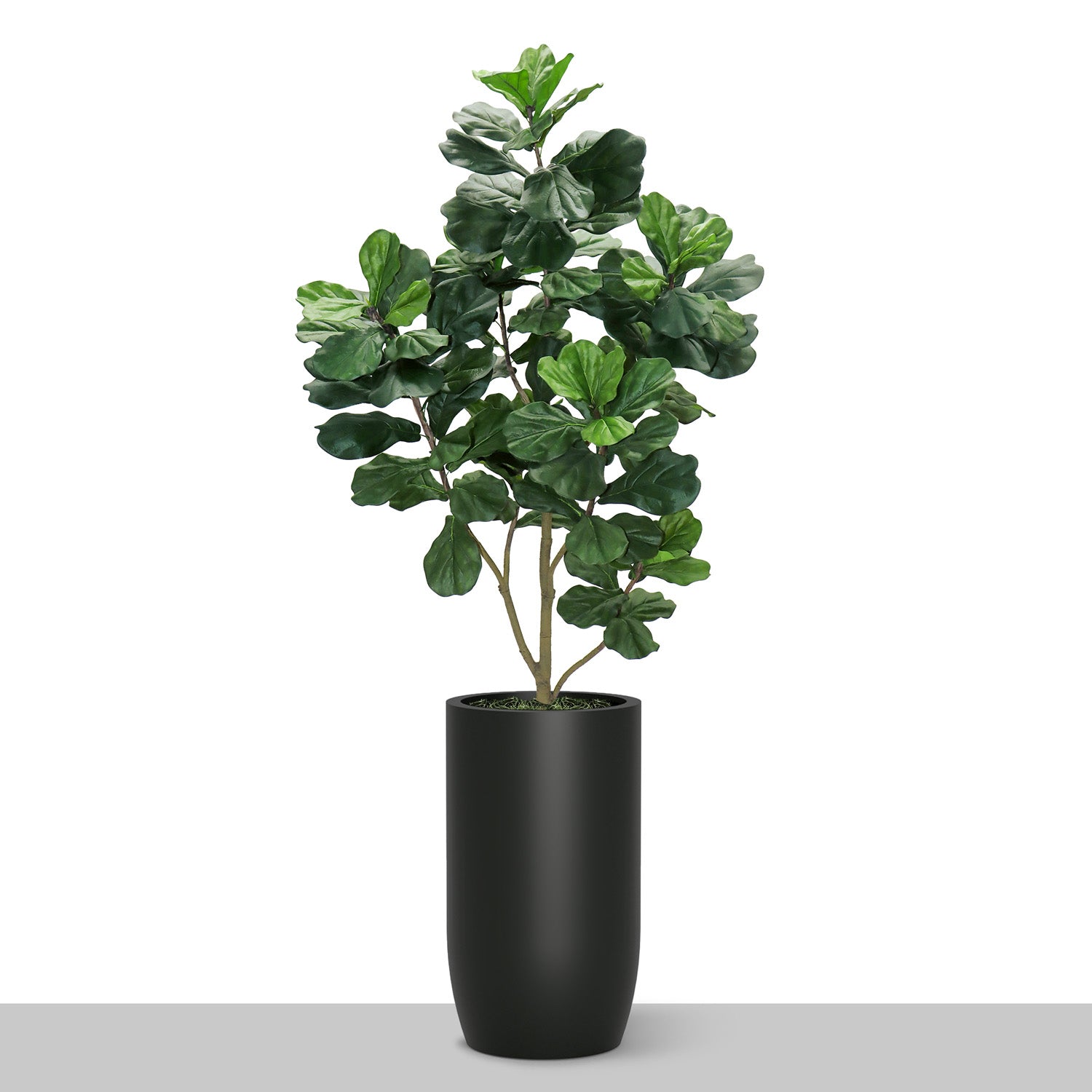 Fiddle Leaf Tree in Barrel Planter SM, Black Satin