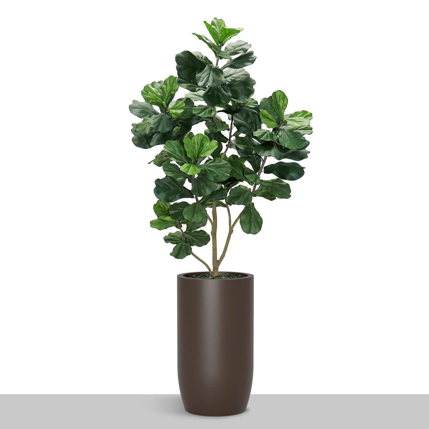 Fiddle Leaf Tree in Barrel Planter SM, Brown DK Satin