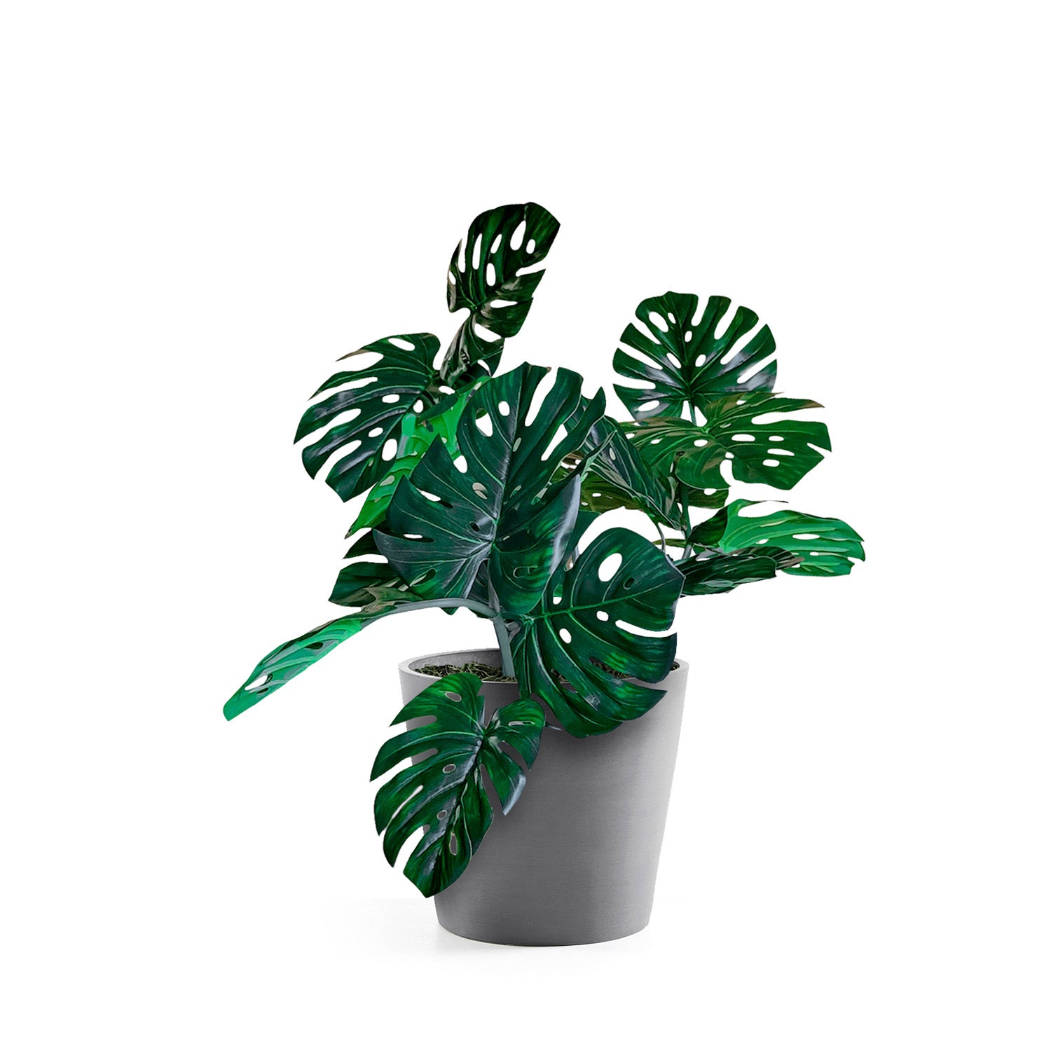 Distressed Smooth: Modesto Planter, 13.6"H