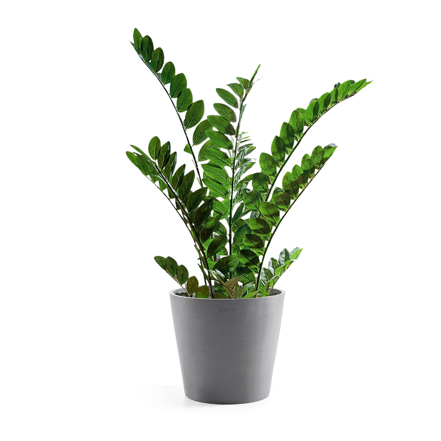 Distressed Smooth: Modesto Planter, 13.6"H