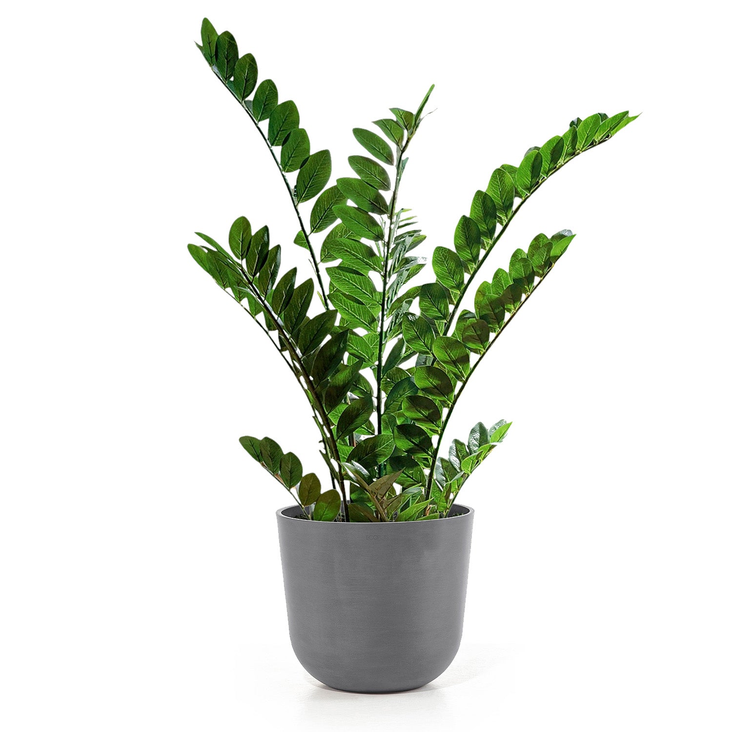 Distressed Smooth: Rotunda Grey, 12"H Planter