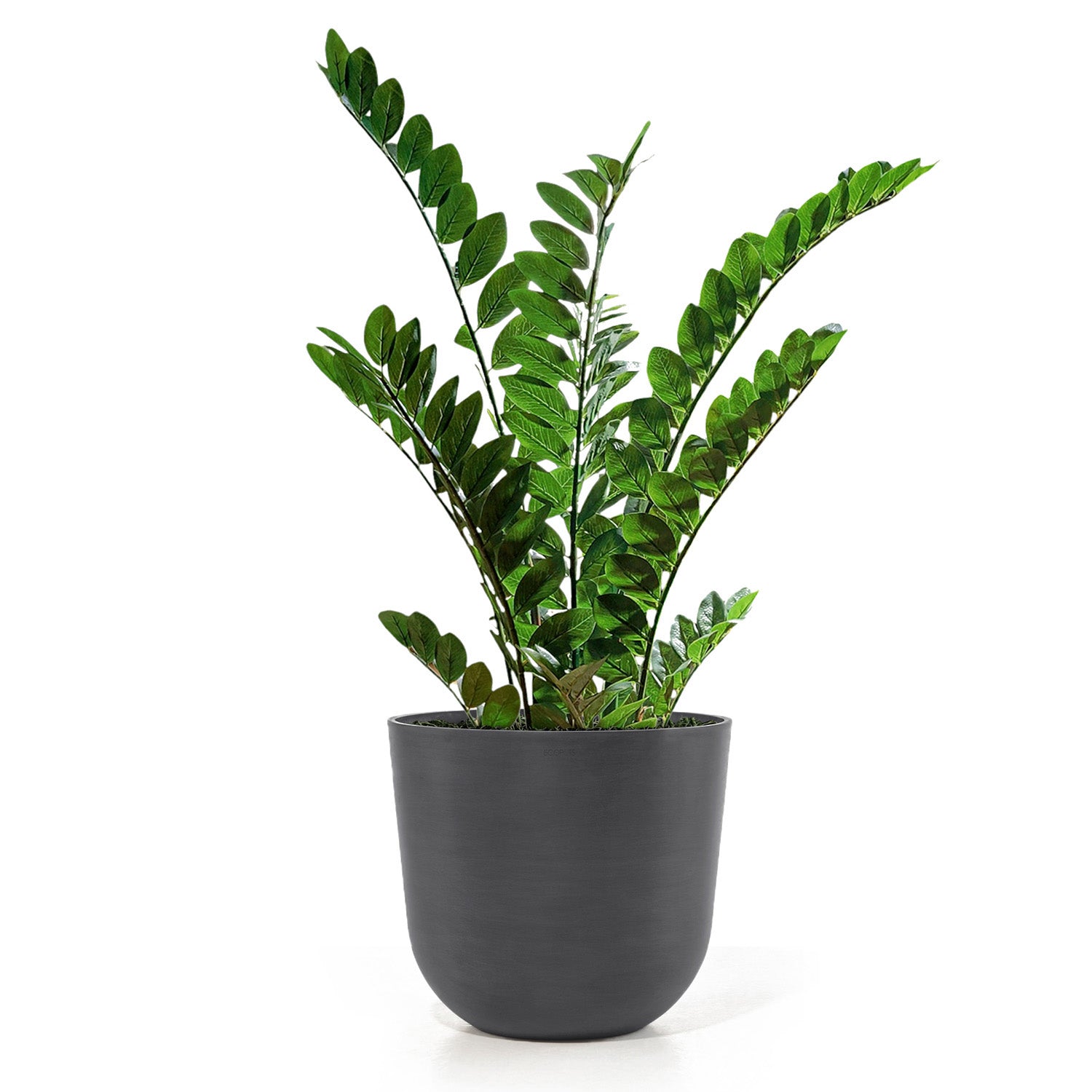 Distressed Smooth: Rotunda Grey, 15.5"H Planter