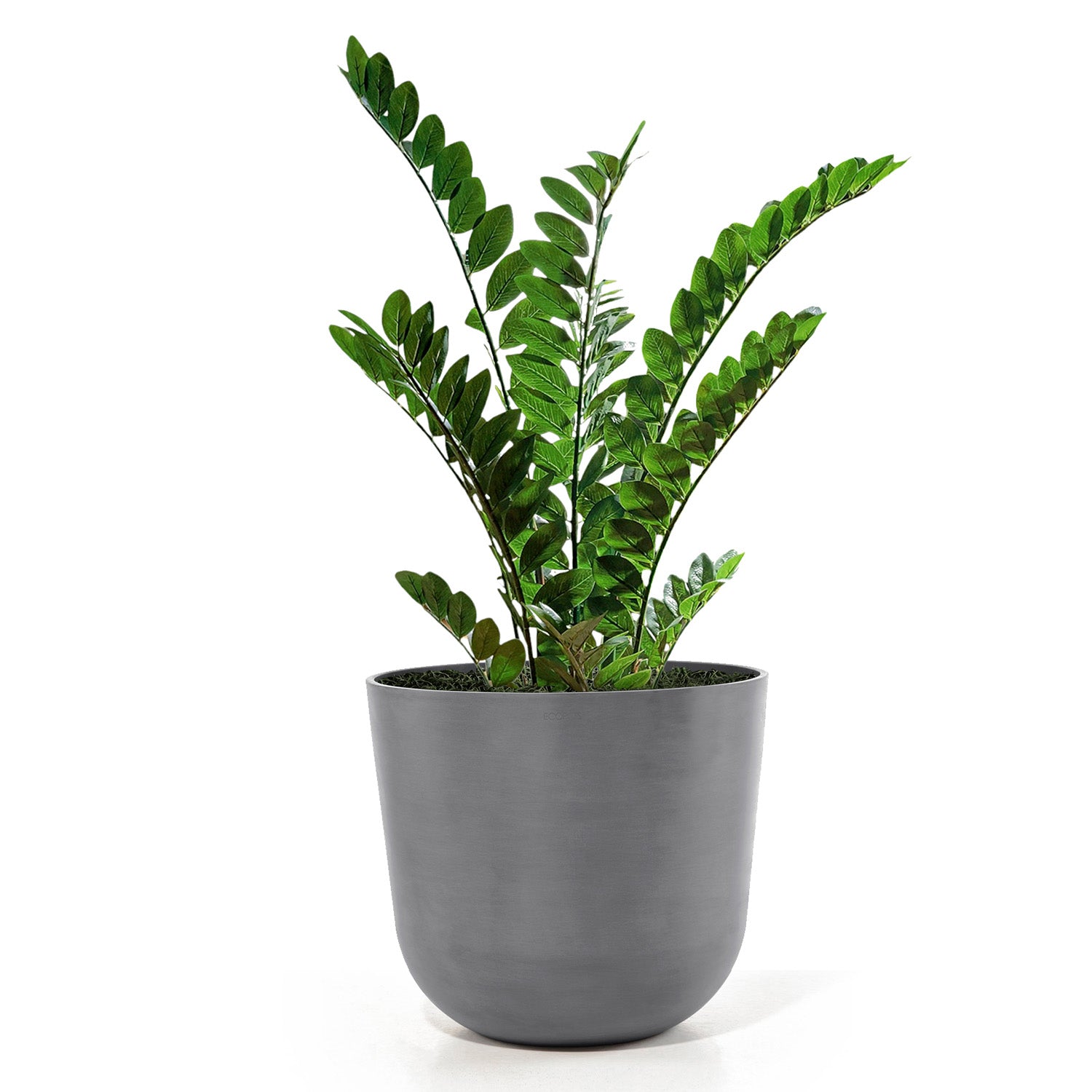 Distressed Smooth: Rotunda Grey, 19.1"H Planter