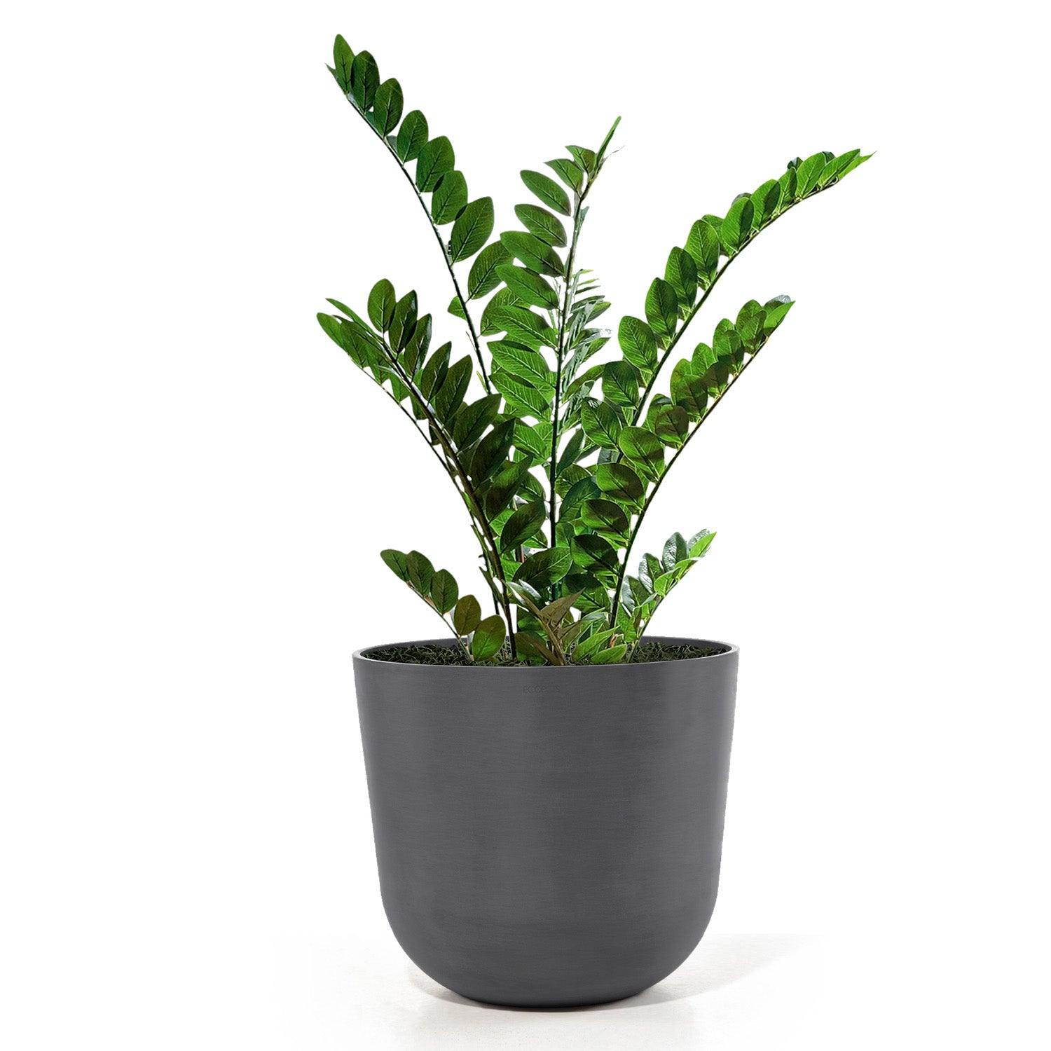 Distressed Smooth: Rotunda Grey, 19.1"H Planter