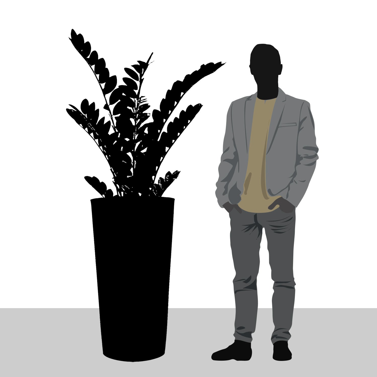 ZZ Plant in Harmony Planter MD, Grey Matte