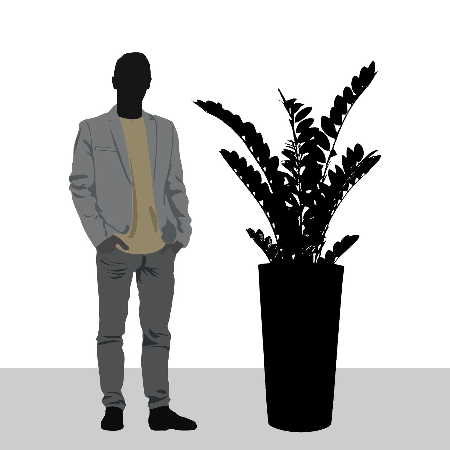 ZZ Plant in Harmony Planter SM, Grey Matte