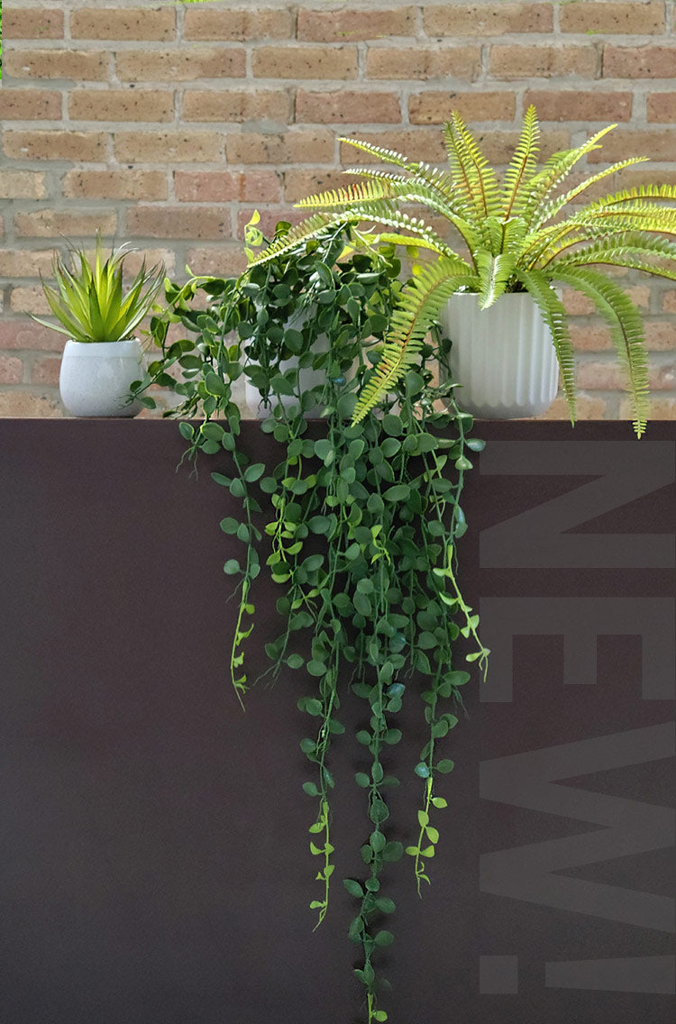 Potted plants on a dark surface with a brick wall background