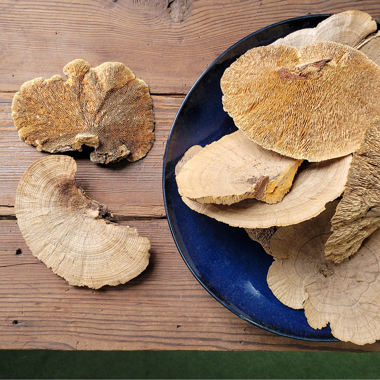 Shelf Mushroom, 6 PC Set, Natural