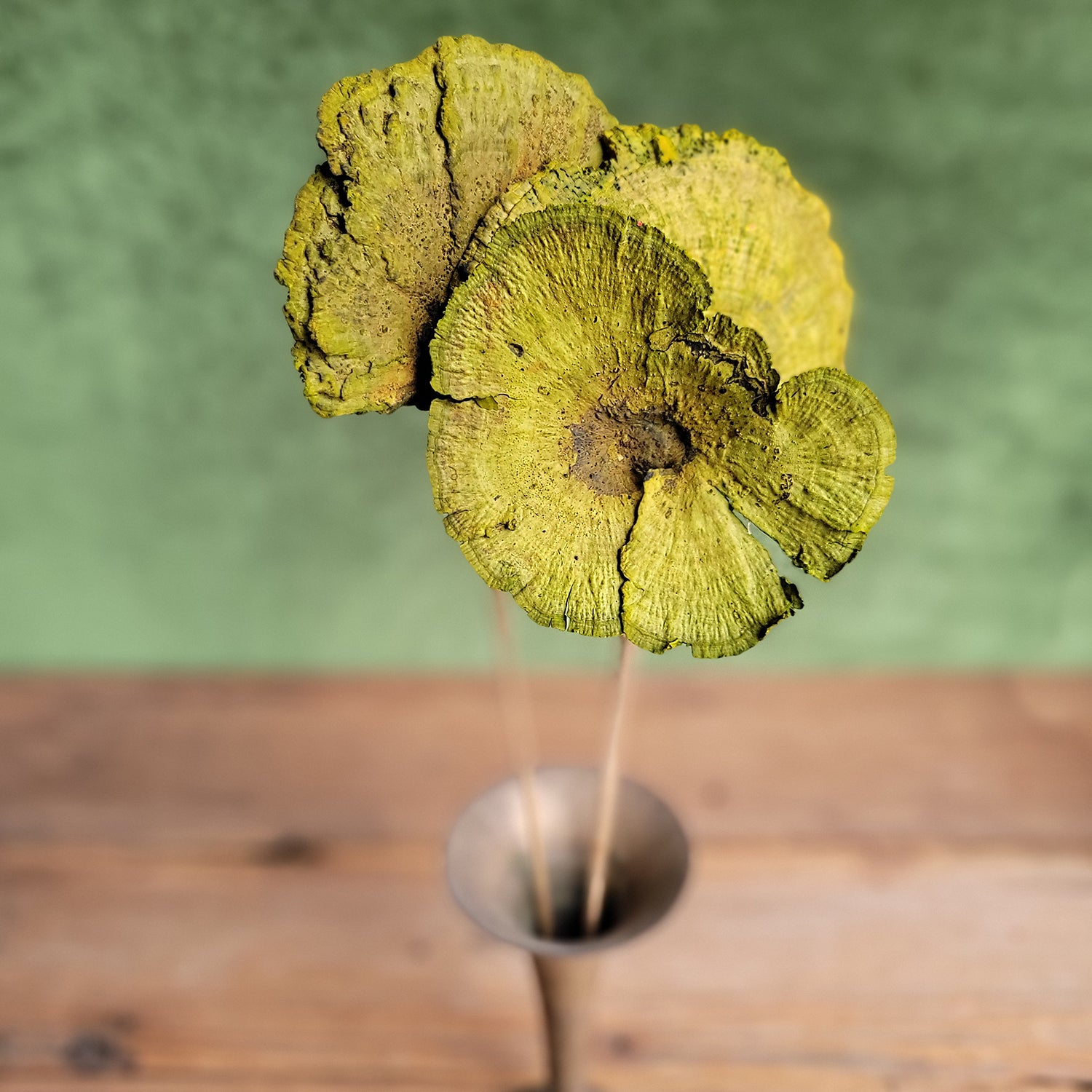 Shelf Mushroom w/Stem, 6PC Bunch, Green