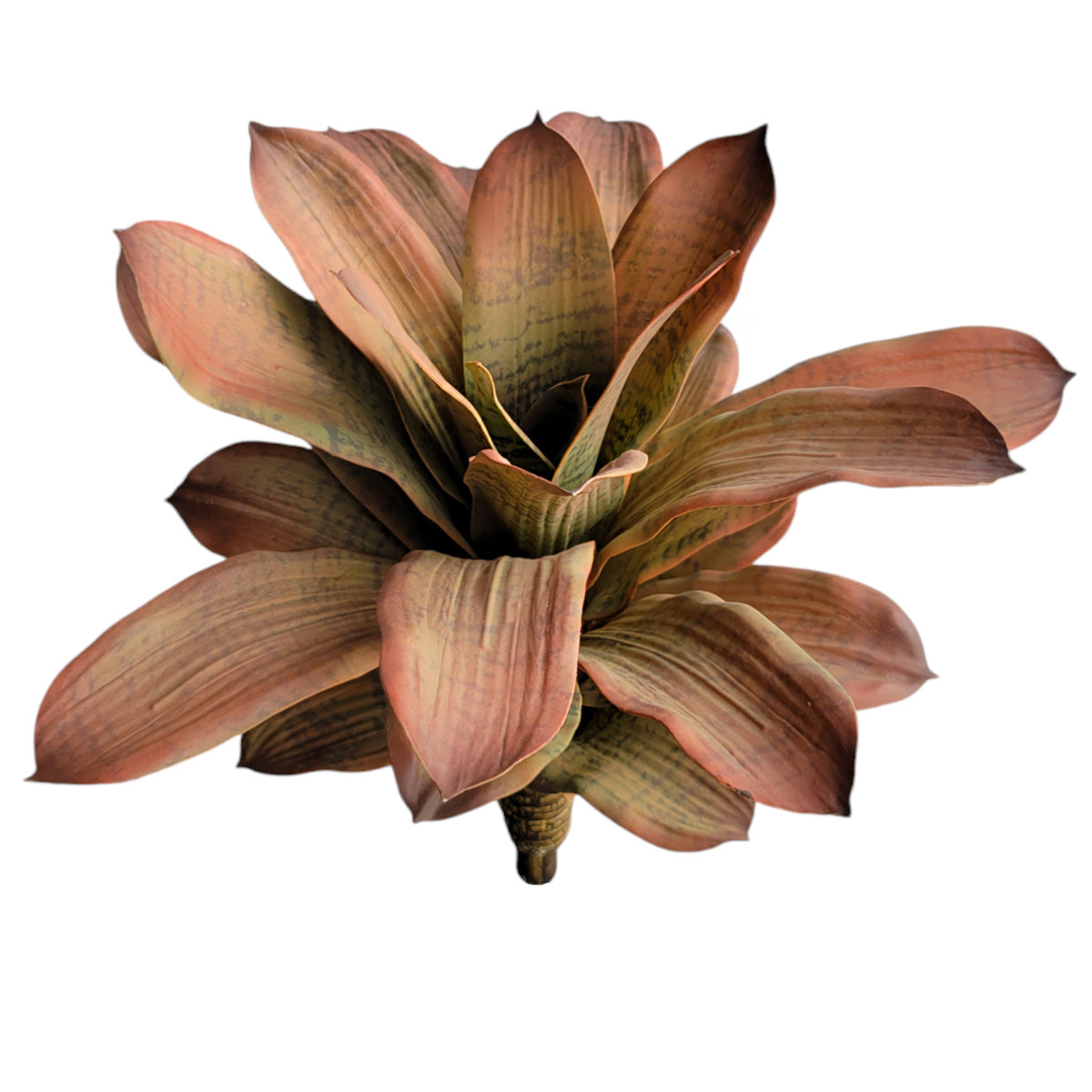 Bromeliad 17“H Unpotted, Mauve