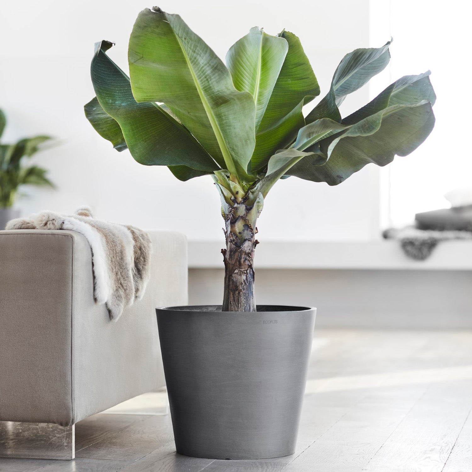 Distressed Smooth: Modesto Planter, 13.6"H