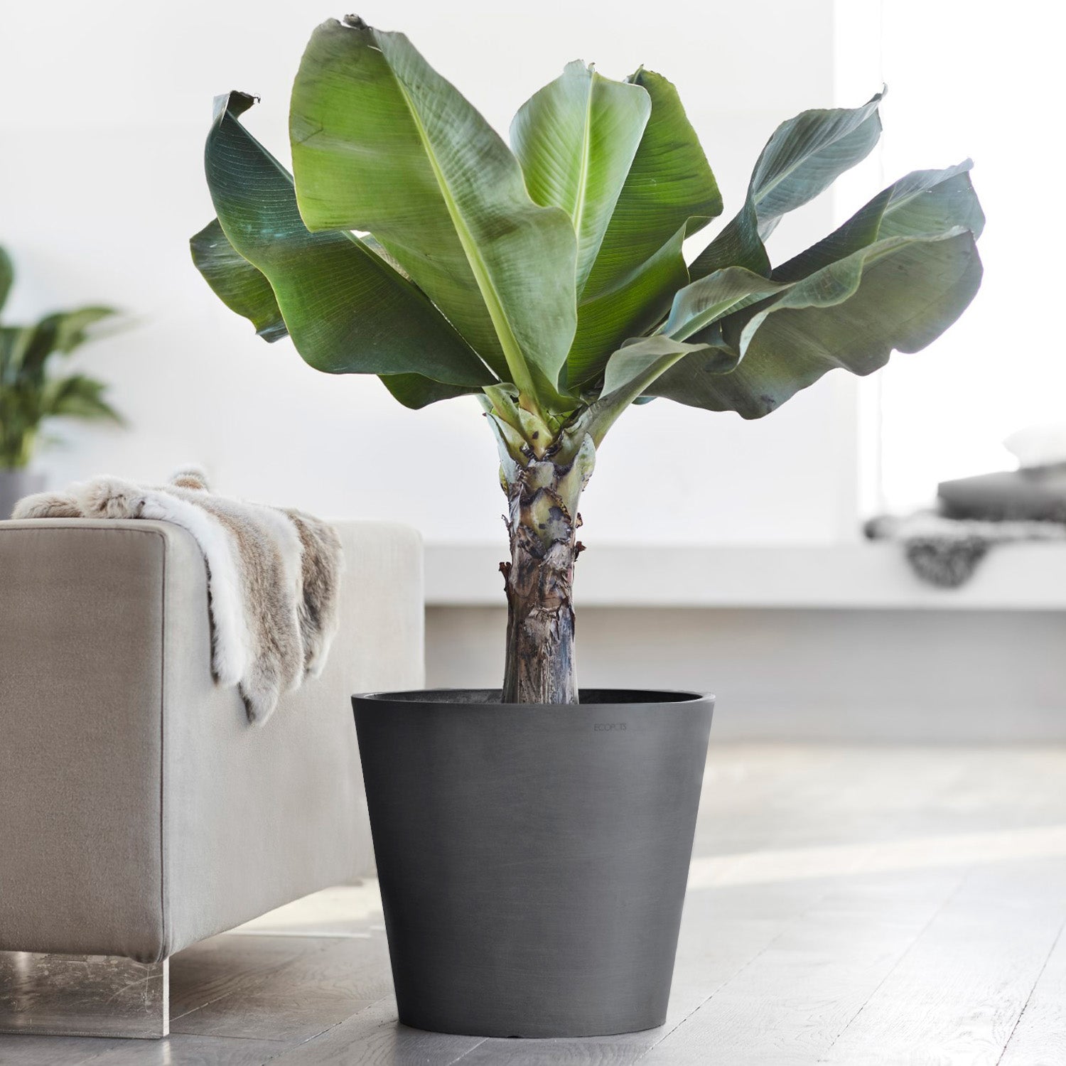 Distressed Smooth: Modesto Planter, 13.6"H