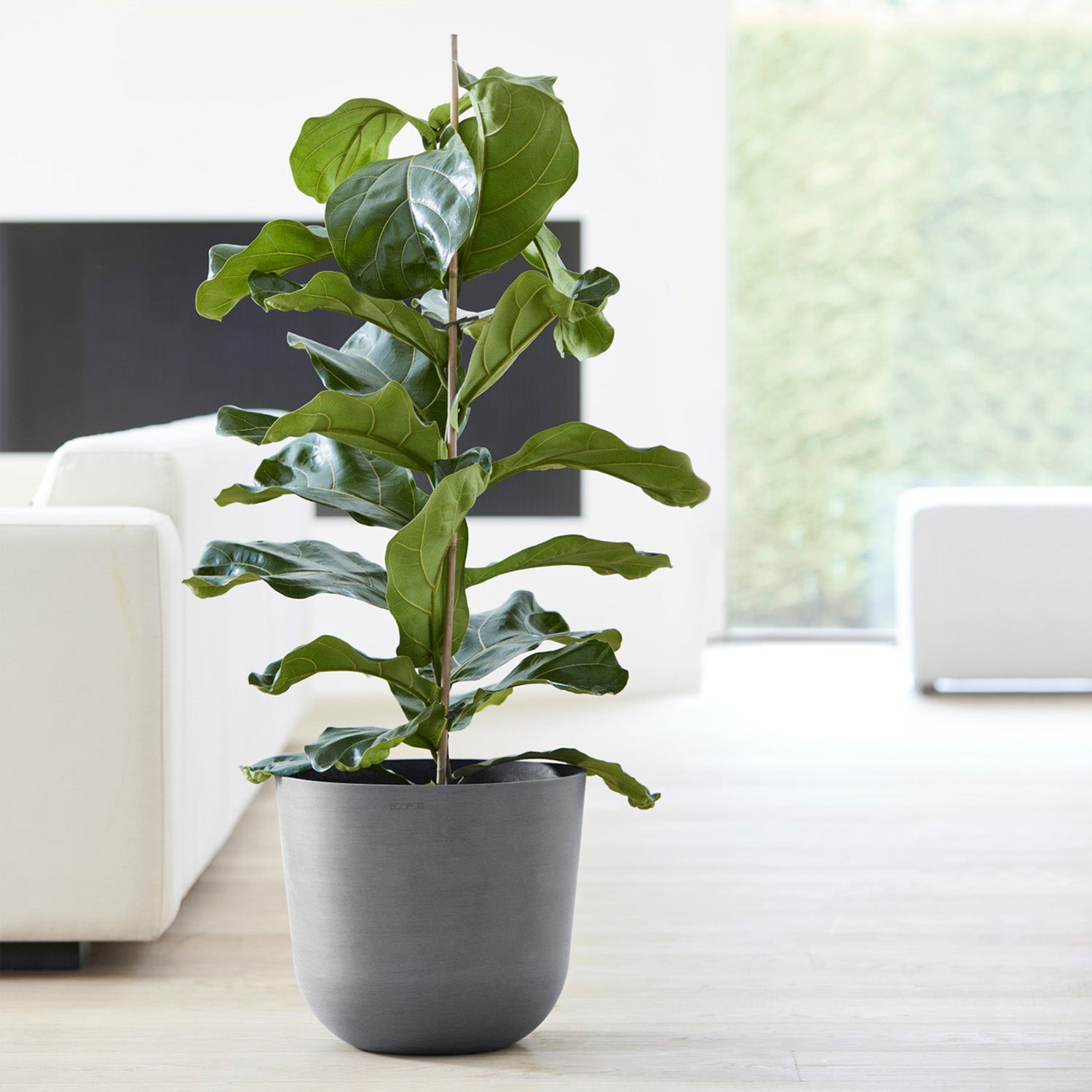 Distressed Smooth: Rotunda Grey, 12"H Planter