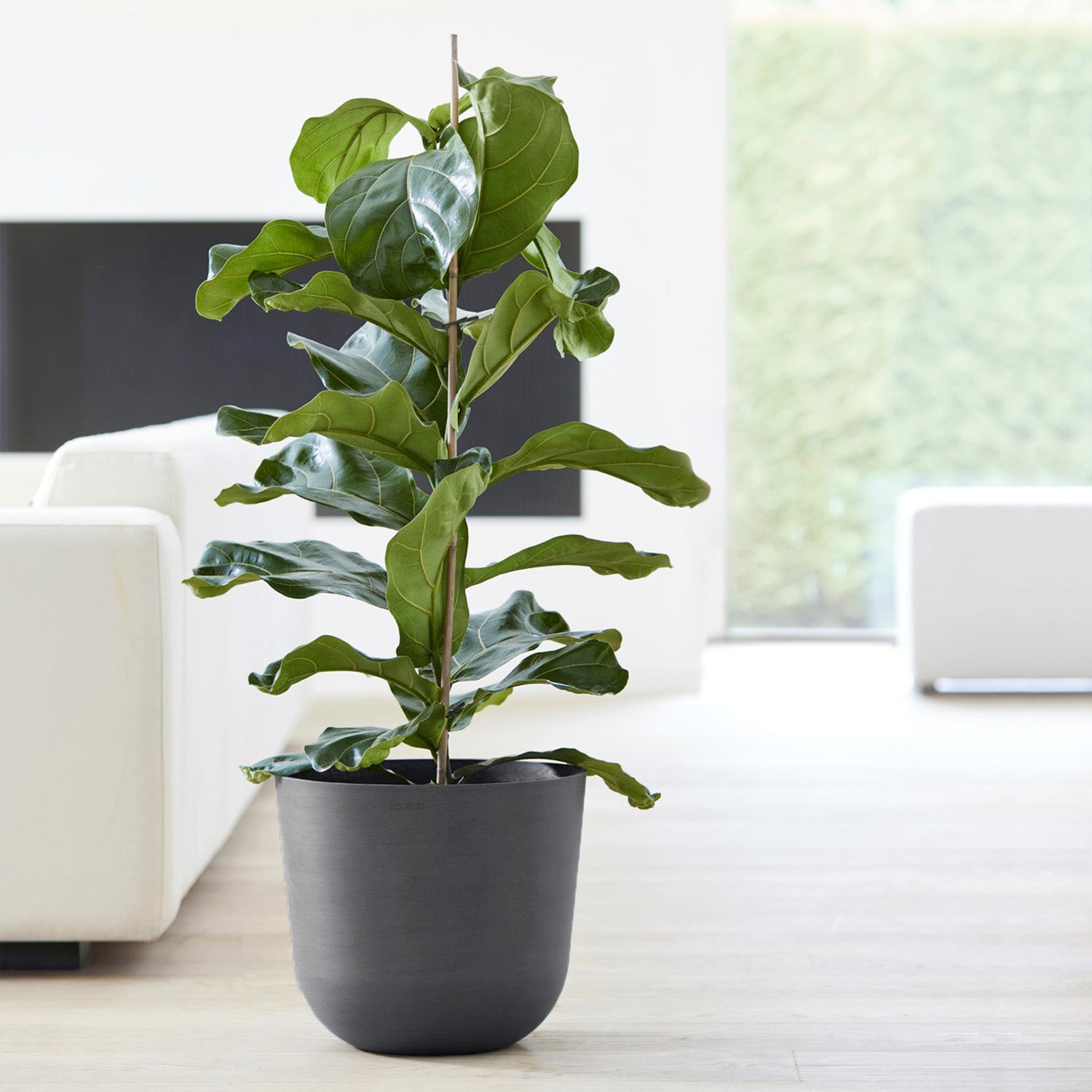 Distressed Smooth: Rotunda Grey, 12"H Planter