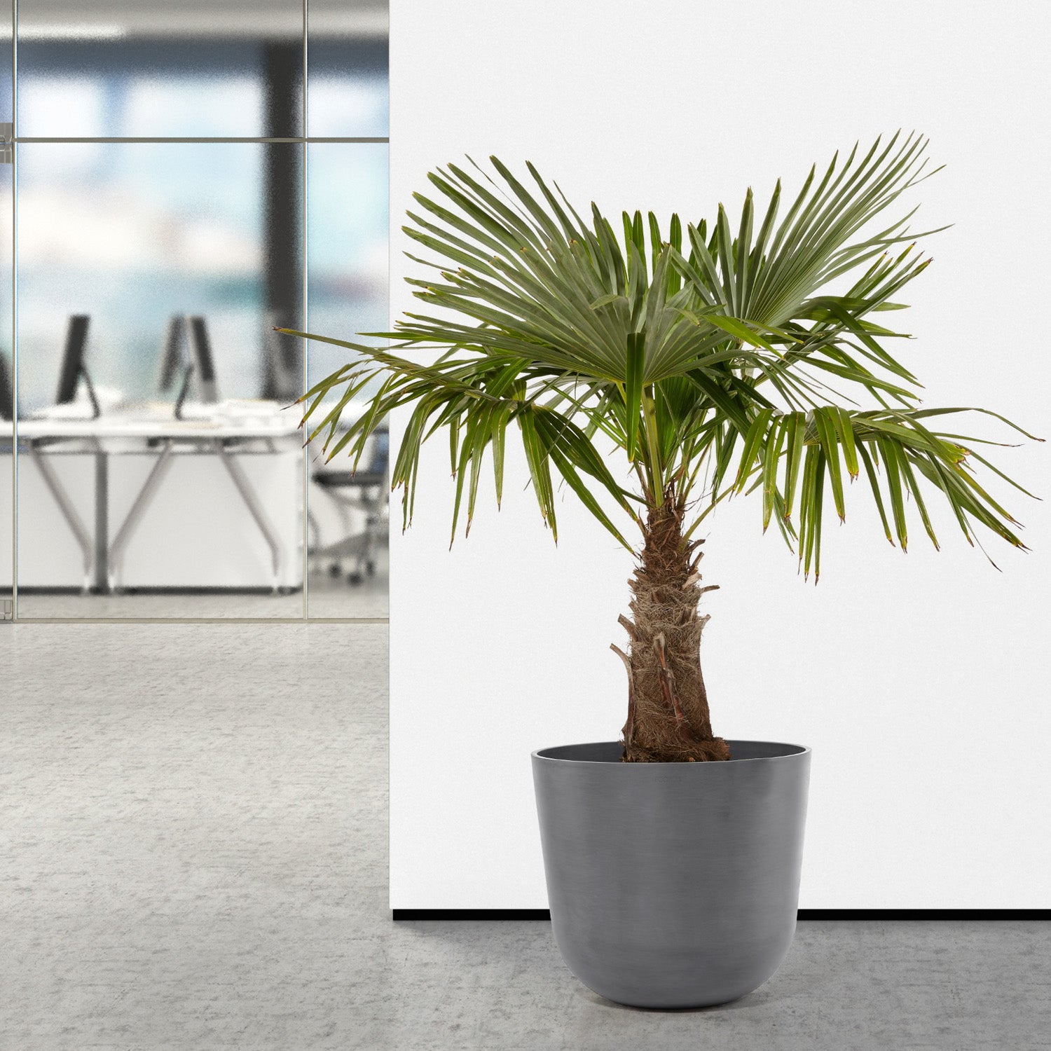 Distressed Smooth: Rotunda Grey, 19.1"H Planter