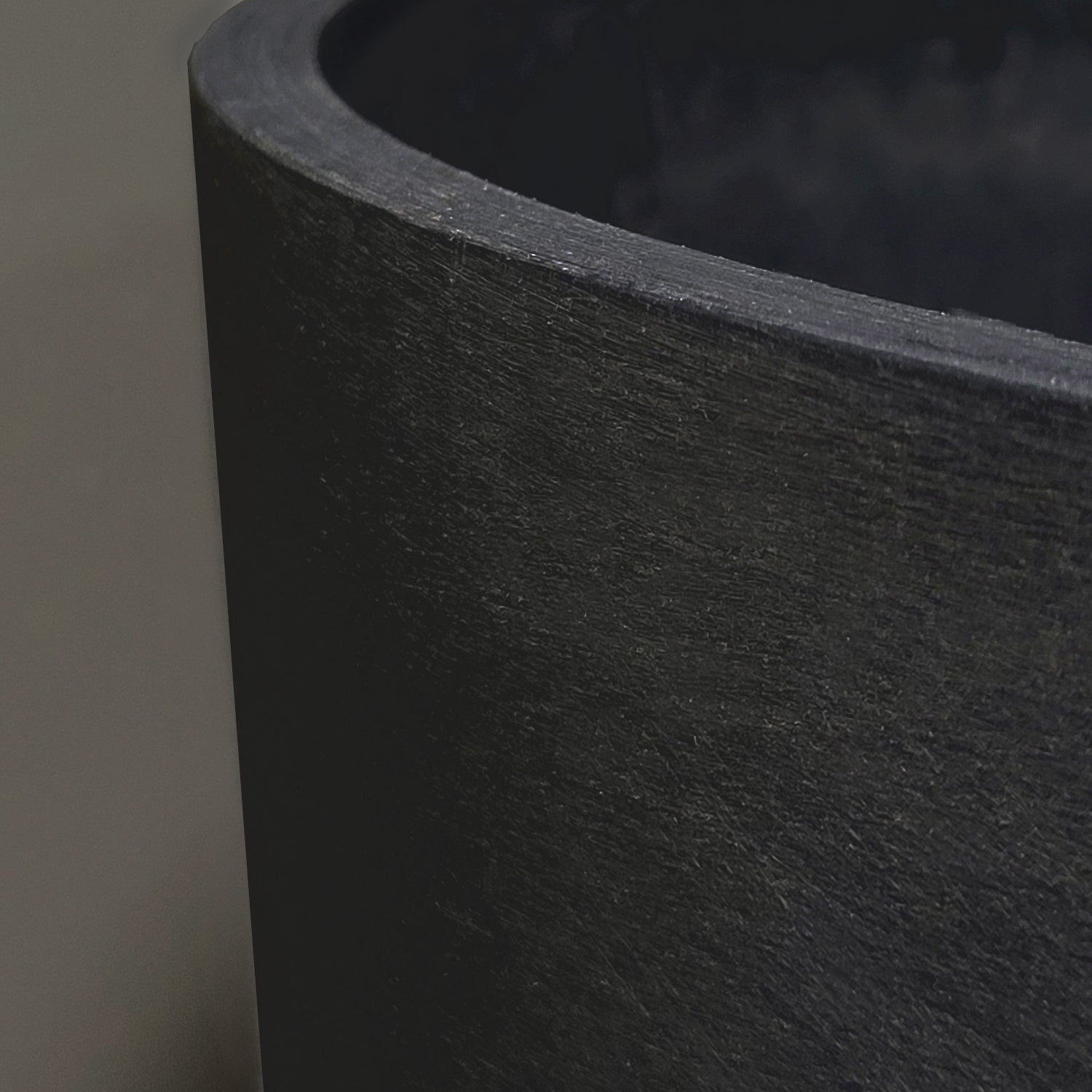 ZZ Plant in Rotunda MD, Black Matte