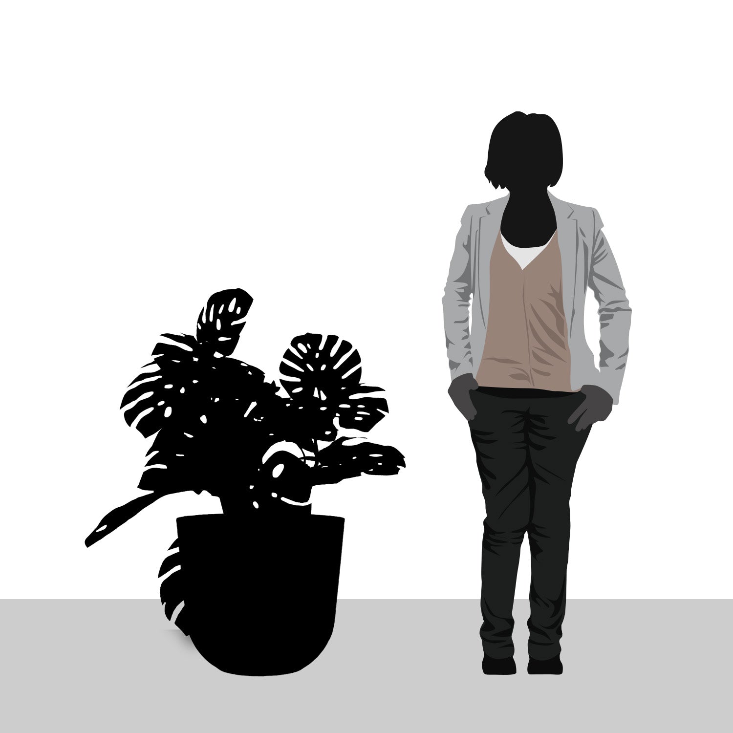 Monstera Vine in Rotunda Planter MD, Grey Matte