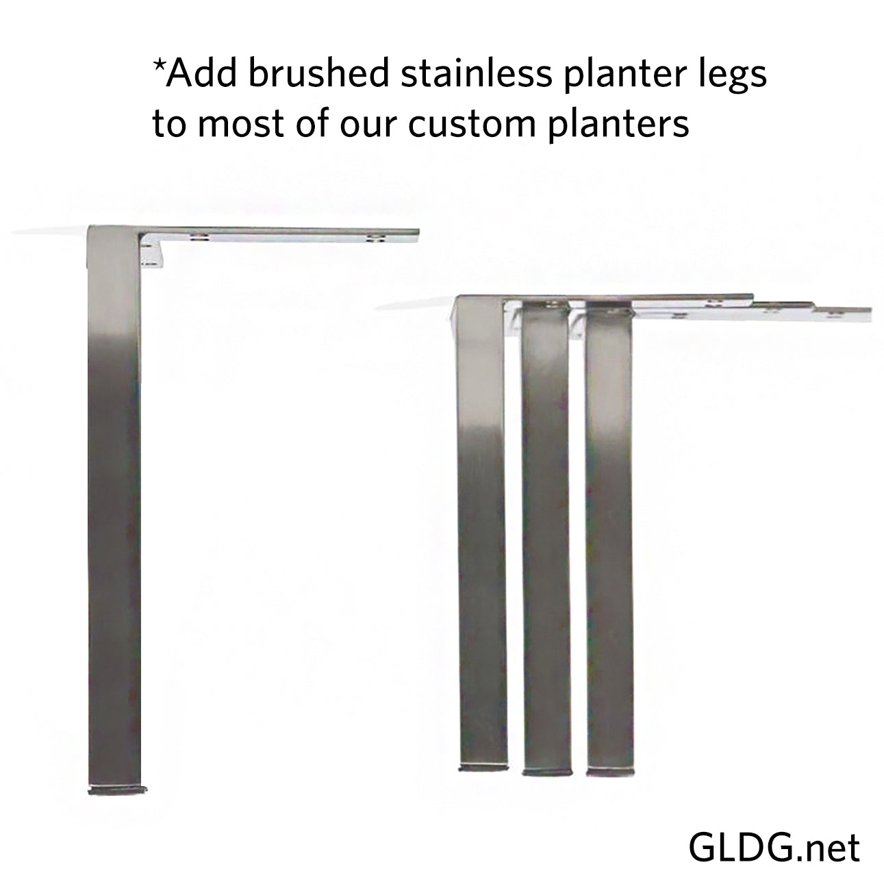 Grass: Century Grass in Rectangle Planter, 38"OL