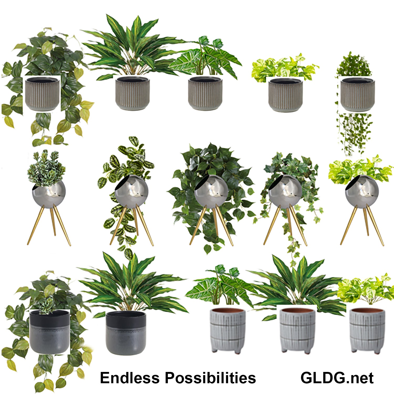 Shelf: Plant, Wandering Dude Mix, Set/ 3