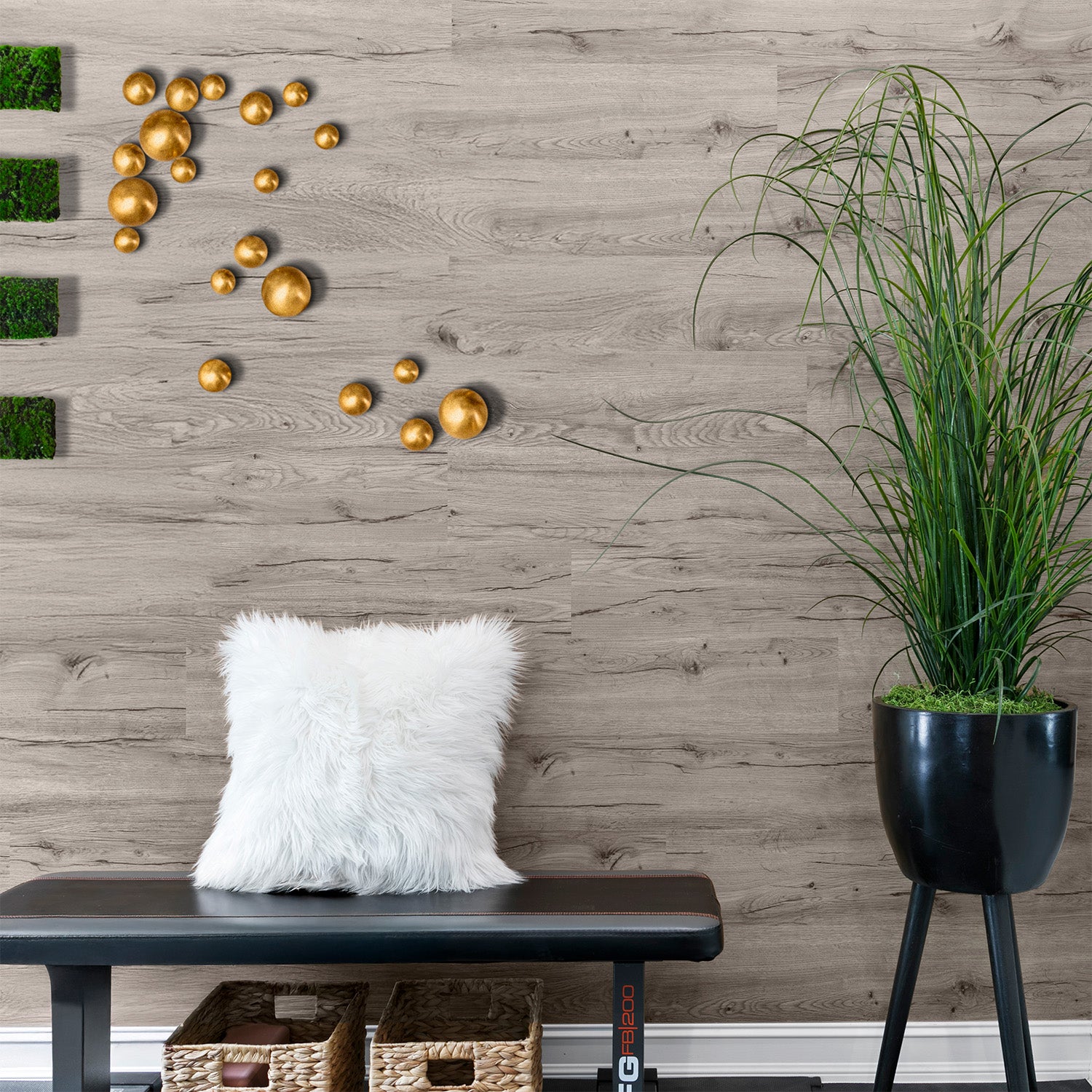 Gold Orb Wall Play on a wood wall in a workout room containing a plant and white furry pillow,