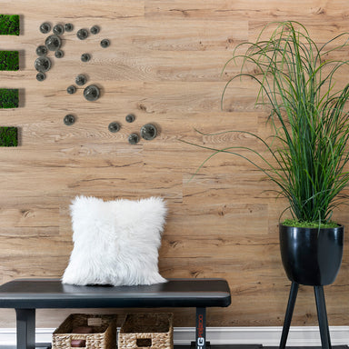 Mica Orb Wall Play on a wood wall in a workout room containing a plant and white furry pillow,