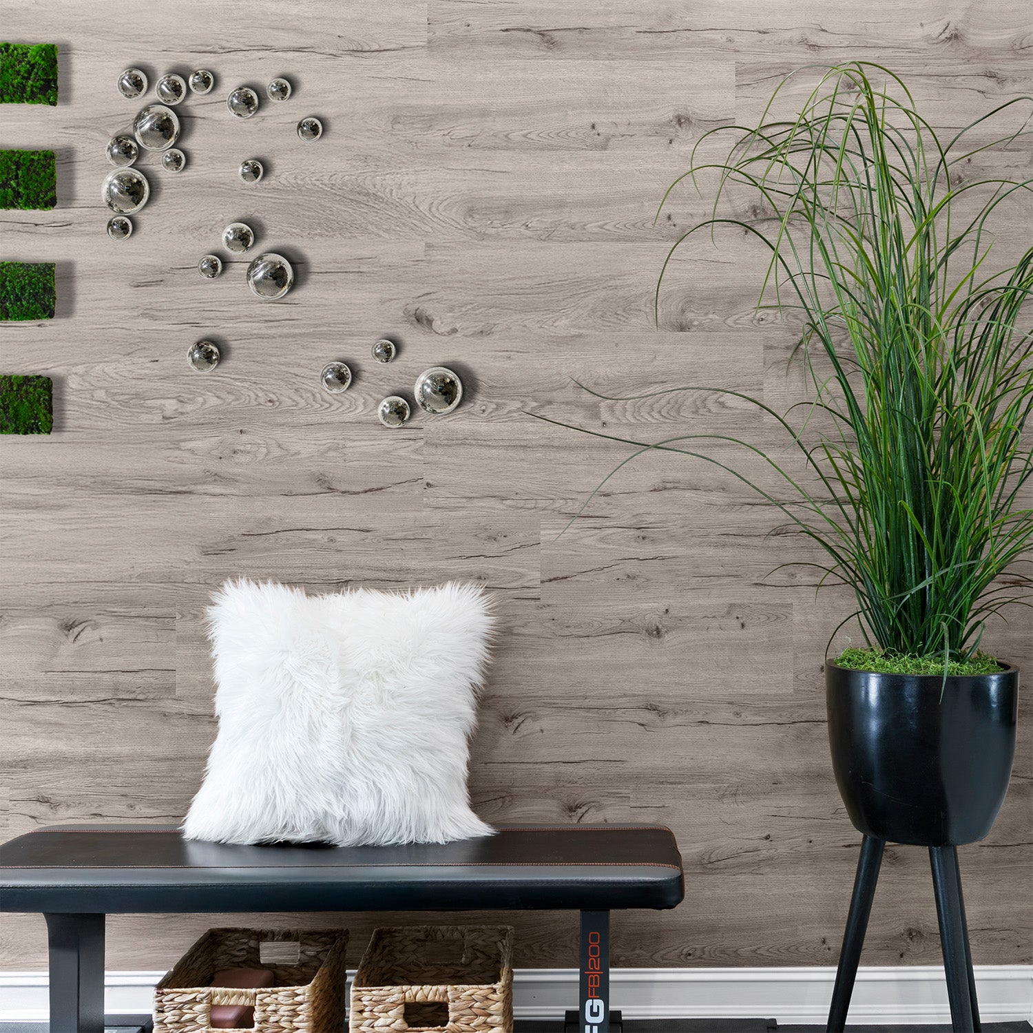 Silver Orb Wall Play on a wood wall in a workout room containing a plant and white furry pillow,