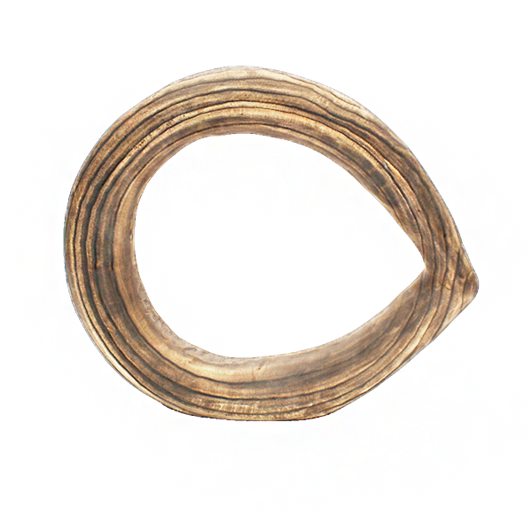 Wood Ring Sculpture, Burned, 15.5"L