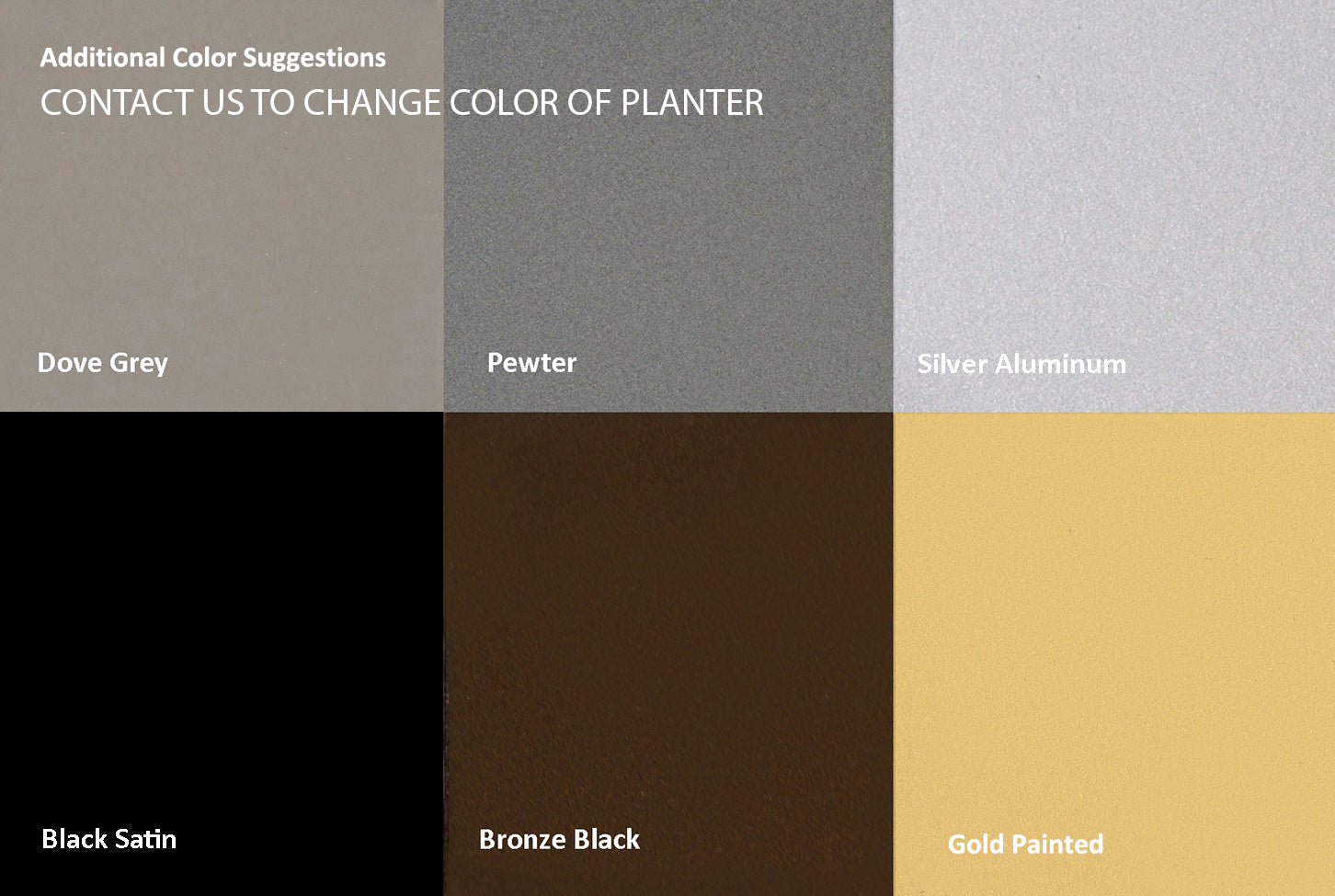 Desert Echeveria in Painted Gold Table Planter (additional freight required)