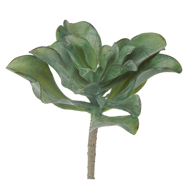 Artificial dusty green Kale Kalanchoe succulent plant with fleshy leaves attached to a short textured tan colored stem against a white background.